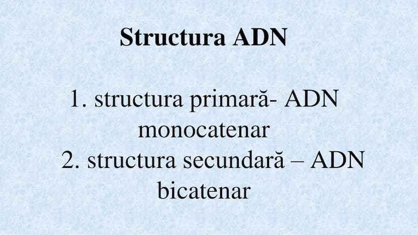 # Acizii nucleici sunt ADN-ul și ARN-ul

## ADN

- Sediul principal al ADN-ului
este nucleul celulelor.
- Sedii secundare sunt:
mitocondriil