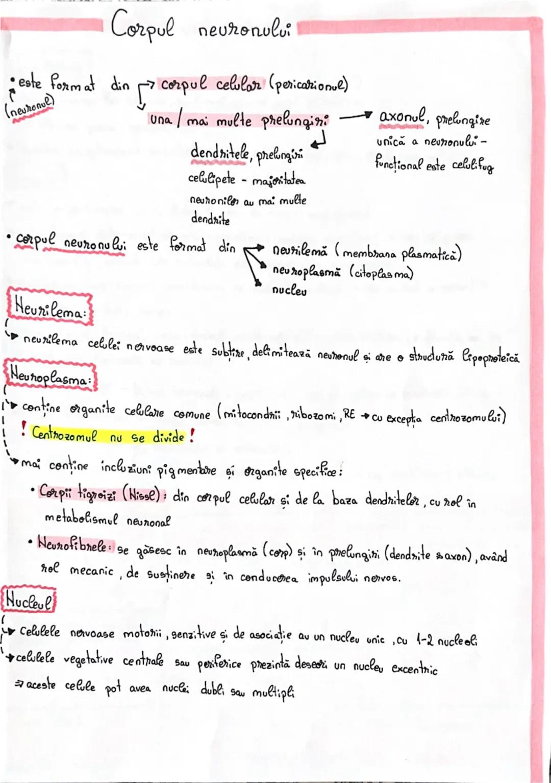 # Fiziologia neuronului

• Neuronul reprezintă unitatea morfo-funcțională a sistemului nervos
• **Forma** neuronilor este variabilă:
- stela