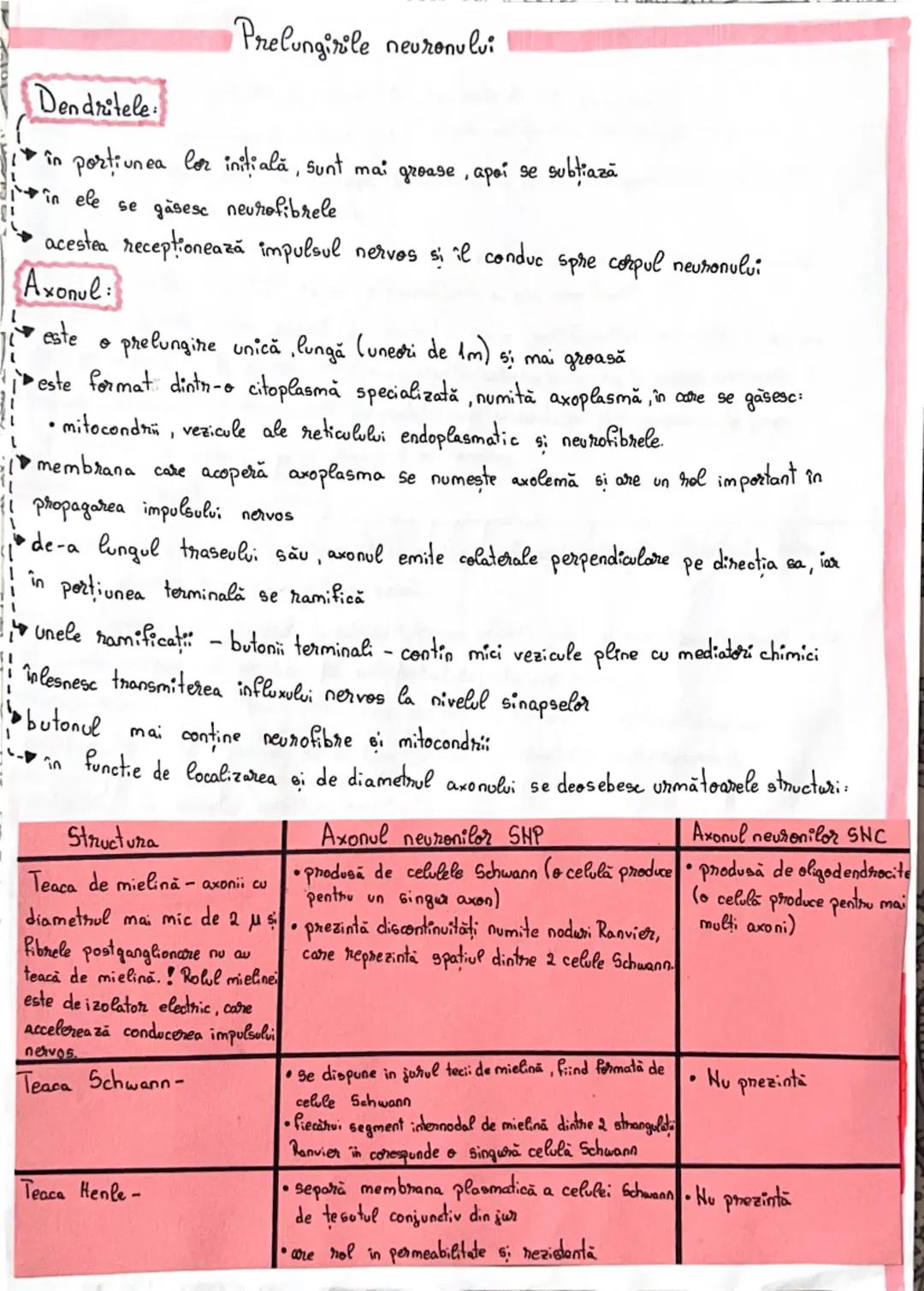 # Fiziologia neuronului

• Neuronul reprezintă unitatea morfo-funcțională a sistemului nervos
• **Forma** neuronilor este variabilă:
- stela