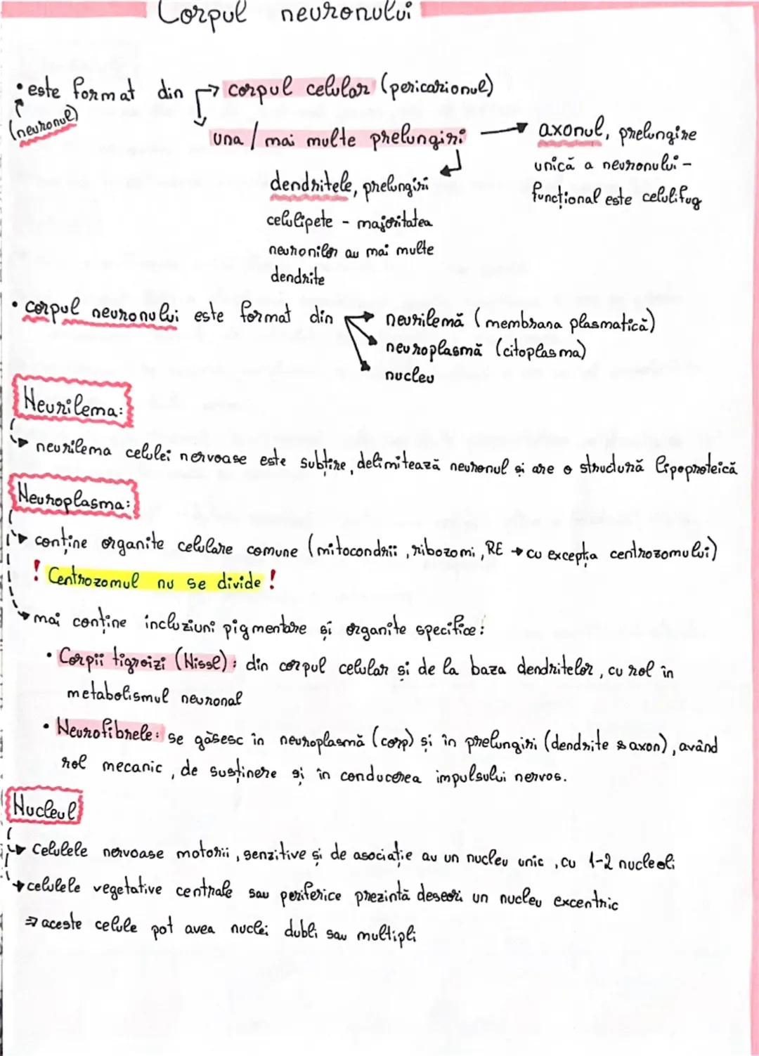 # Fiziologia neuronului

• Neuronul reprezintă unitatea morfo-funcțională a sistemului nervos
• **Forma** neuronilor este variabilă:
- stela