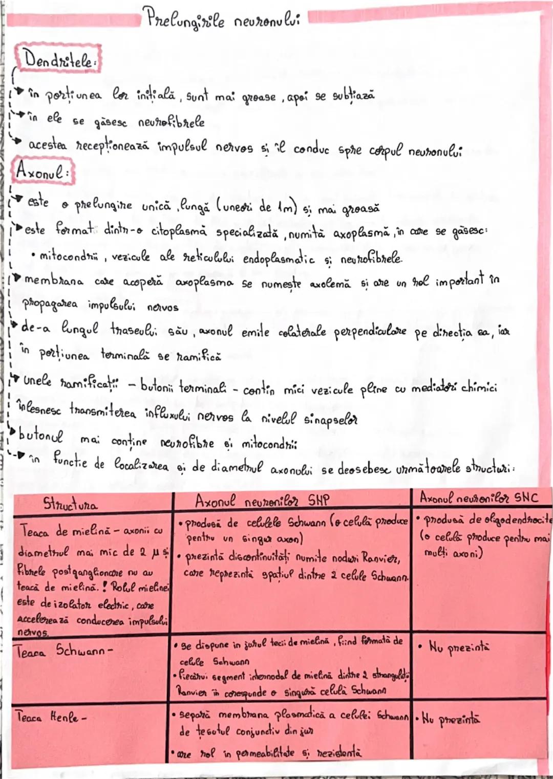 # Fiziologia neuronului

• Neuronul reprezintă unitatea morfo-funcțională a sistemului nervos
• **Forma** neuronilor este variabilă:
- stela