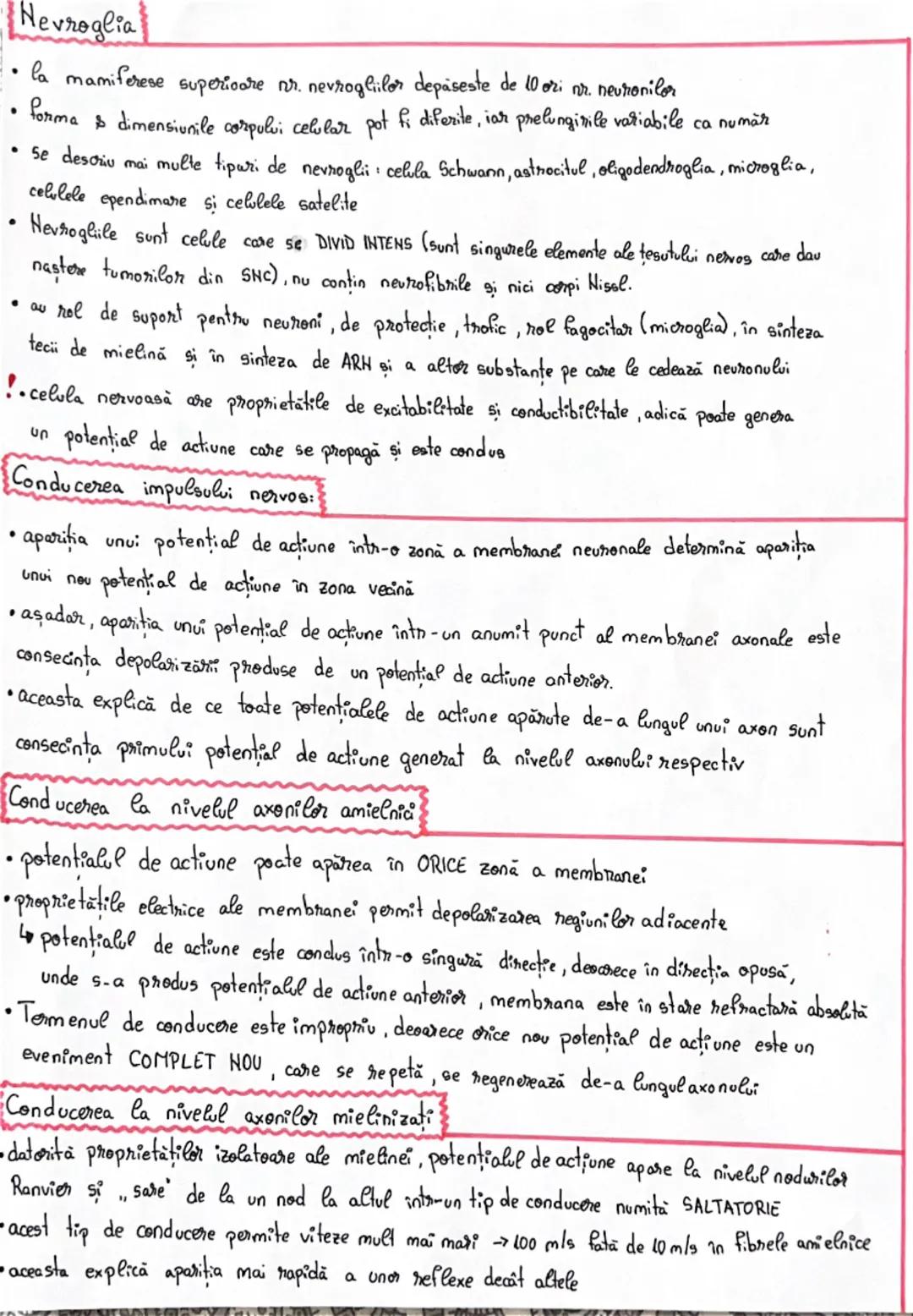 # Fiziologia neuronului

• Neuronul reprezintă unitatea morfo-funcțională a sistemului nervos
• **Forma** neuronilor este variabilă:
- stela