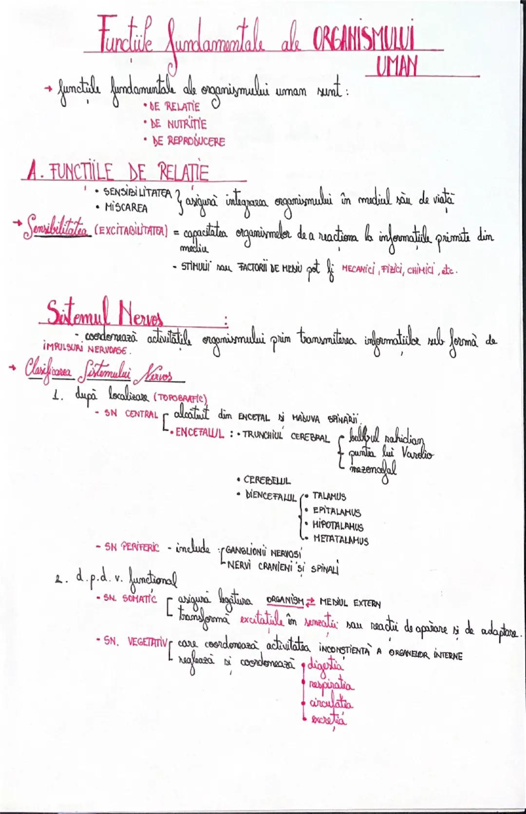 SISTEMUL NERVOS