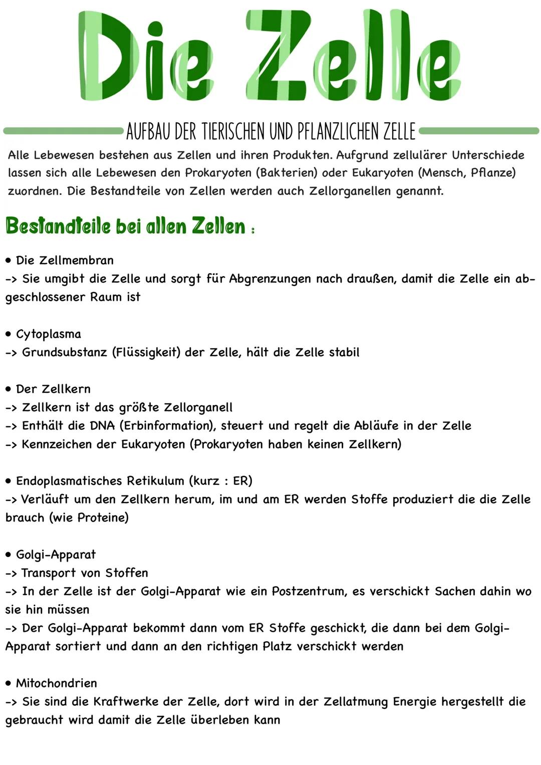 # Die Zelle

AUFBAU DER TIERISCHEN UND PFLANZLICHEN ZELLE

Alle Lebewesen bestehen aus Zellen und ihren Produkten. Aufgrund zellulärer Unter