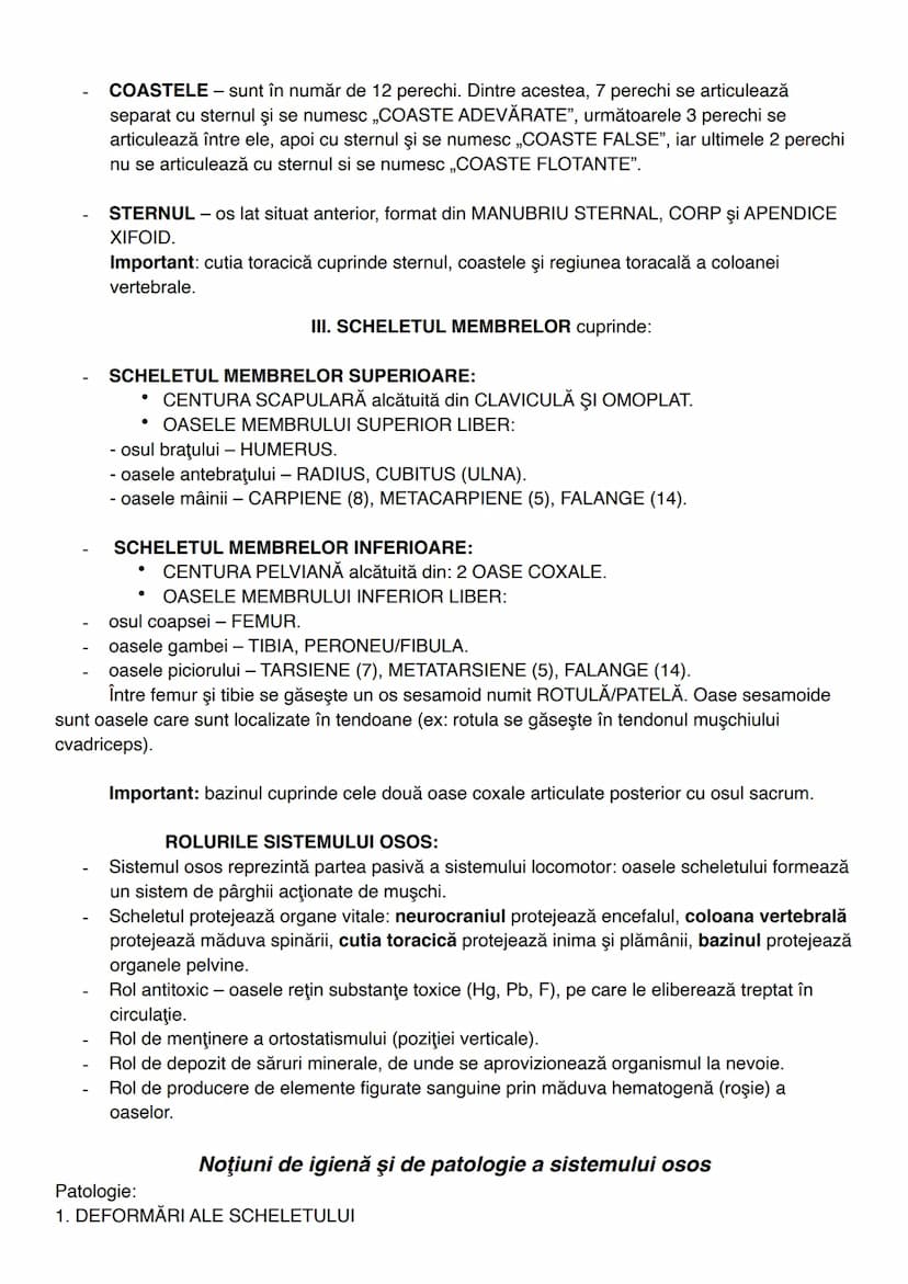 --- OCR Start ---
Parietal
Frontal-
Craniul-
Zigomatic
Cutia Stern-
tora-
cica Coaste
Temporal
Maxila
Mandibula
Clavicula
Omoplat
Cartilaje 