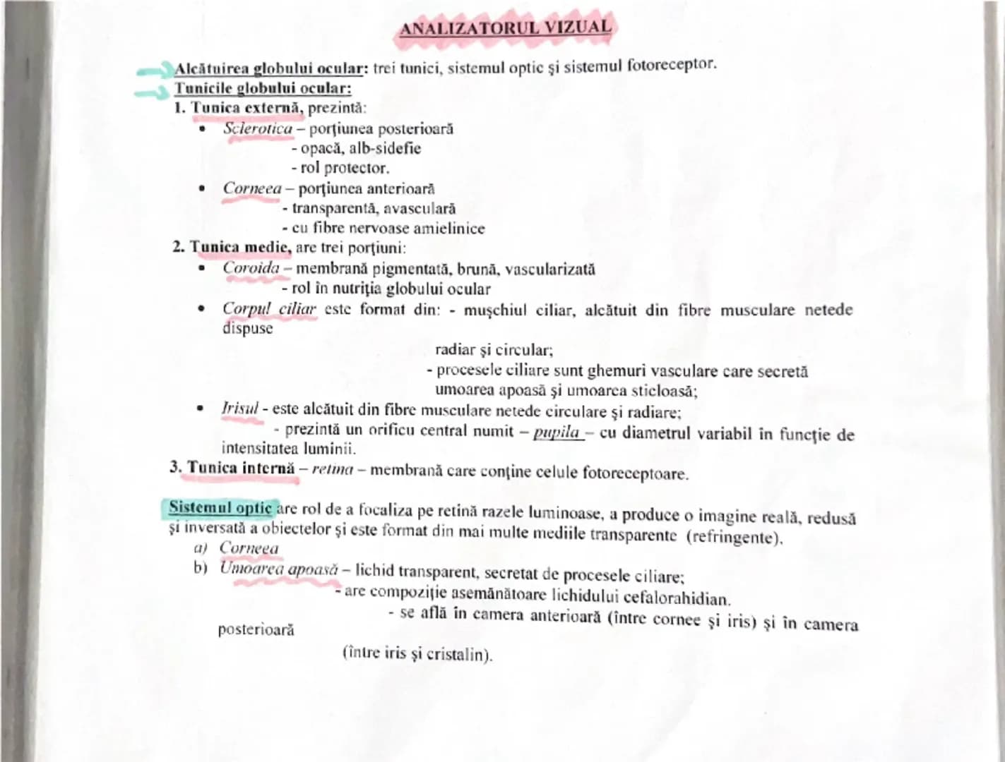 # ANALIZATORUL VIZUAL

Alcătuirea globului ocular: trei tunici, sistemul optic şi sistemul fotoreceptor.

**Tunici globului ocular:**

1. **