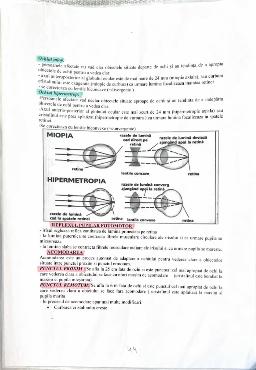 # ANALIZATORUL VIZUAL

Alcătuirea globului ocular: trei tunici, sistemul optic şi sistemul fotoreceptor.

**Tunici globului ocular:**

1. **