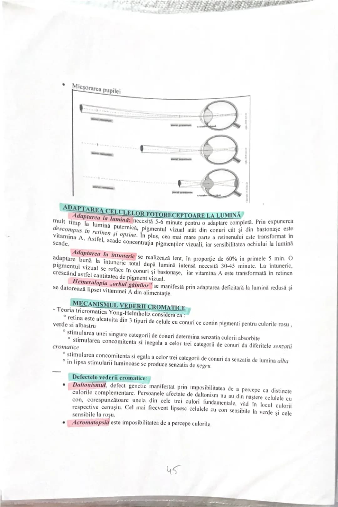 # ANALIZATORUL VIZUAL

Alcătuirea globului ocular: trei tunici, sistemul optic şi sistemul fotoreceptor.

**Tunici globului ocular:**

1. **