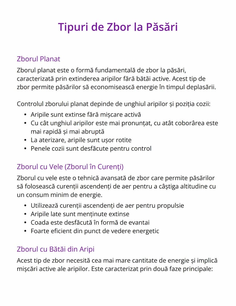 # Tipuri de Zbor la Păsări

# Zborul Planat
Zborul planat este o formă fundamentală de zbor la păsări,
caracterizată prin extinderea aripilo