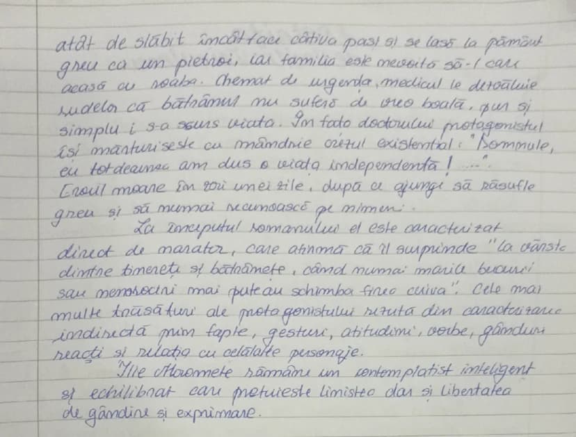 # CARACTERIZAREA LUI ILIE
MOROMETE

Ilie Moromete, protagonistul romanului semnat de
Marin Preda, după mărturiile autorului, eroul preferat 
