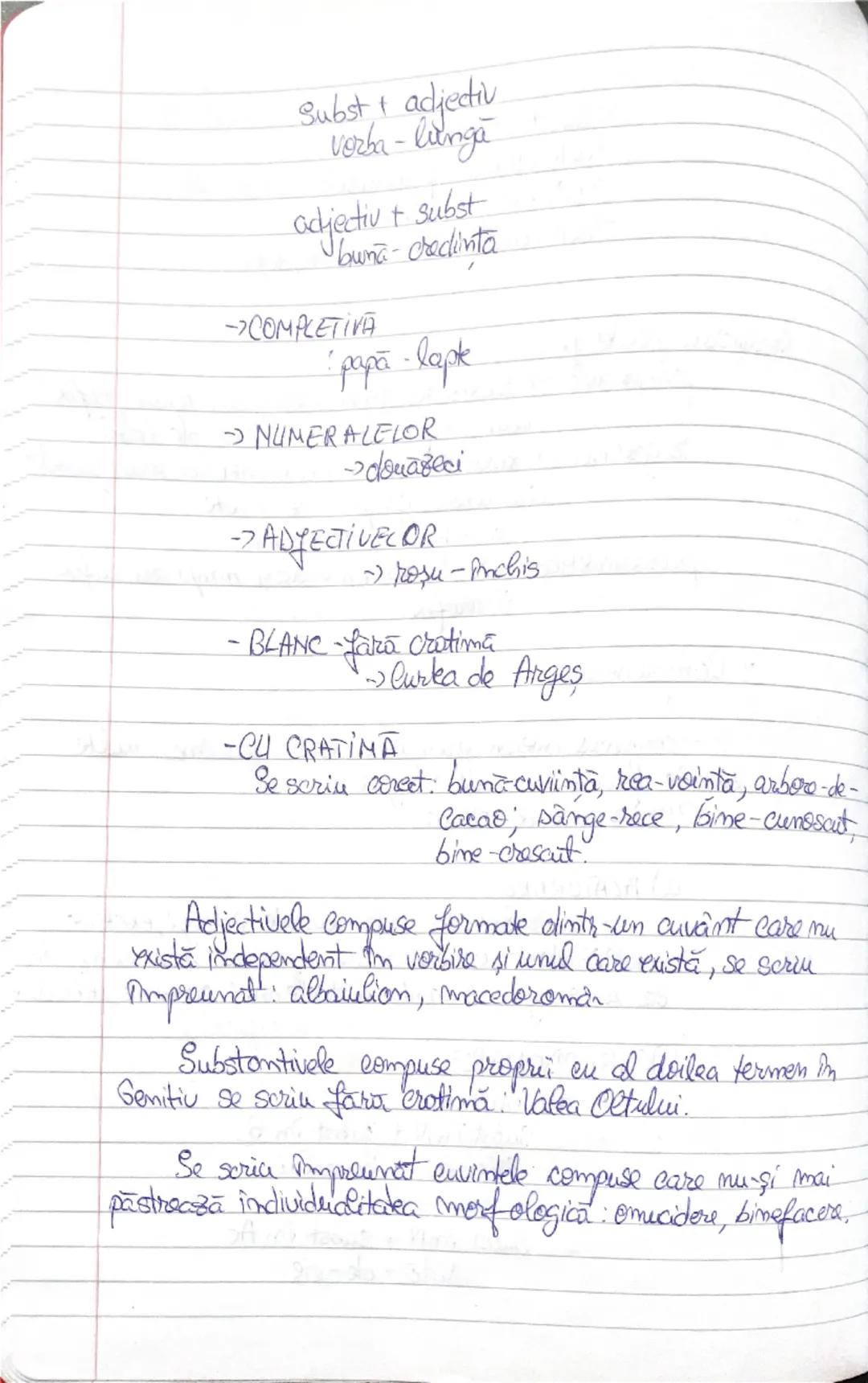 Vocabularul

1-3 Totalitatea cuvintelor dintr-o limba formeara vocabularel
Bimbri respective.

→Lericul îmbii române cuprinde aprox. 140.000
