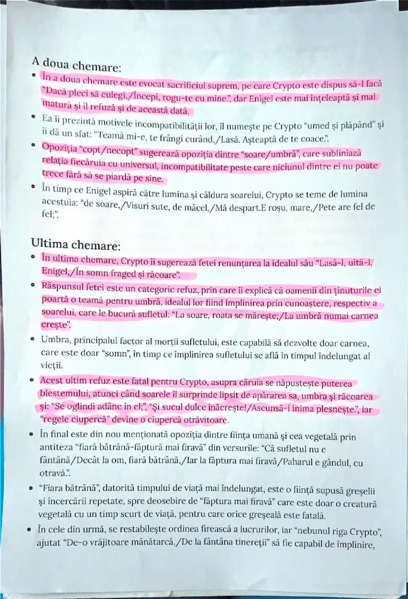 --- OCR Start ---
text.
• Atât articularea substantivelor, cât și numele proprii denotă unicitatea celor doi.
Compoziția exterioară:
• Balad