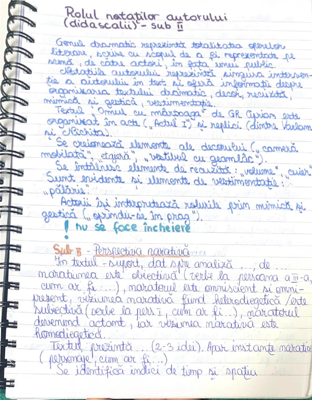 Importanța didascaliilor în Literatură - Pregătire Bac 2024