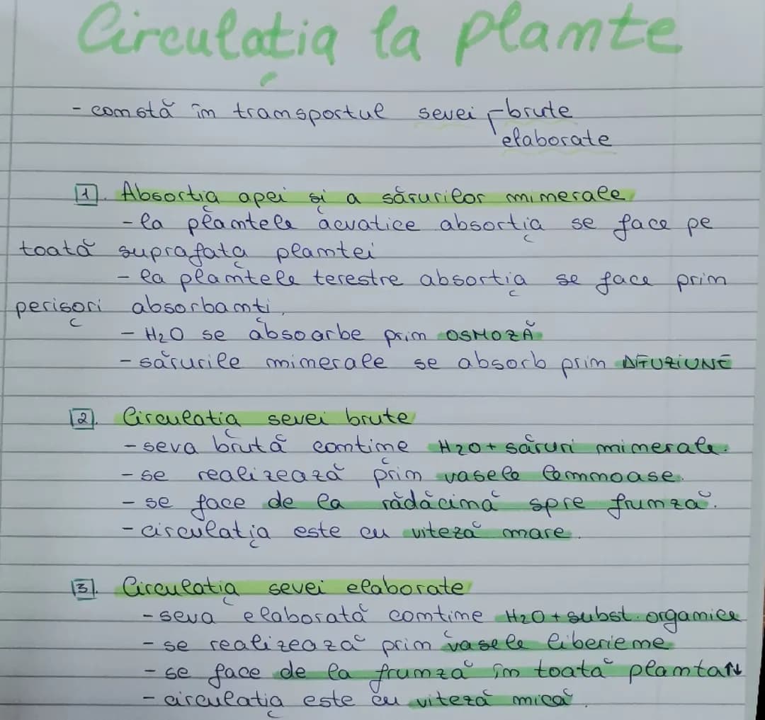 Circulația la plante 
