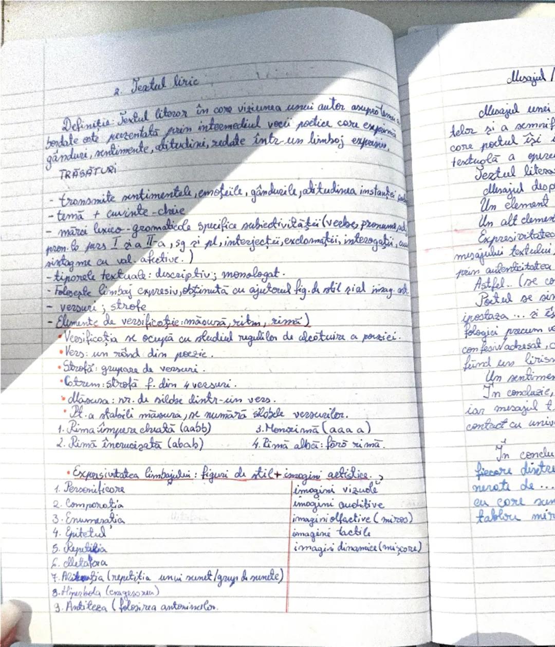 Textul liric explicat simplu