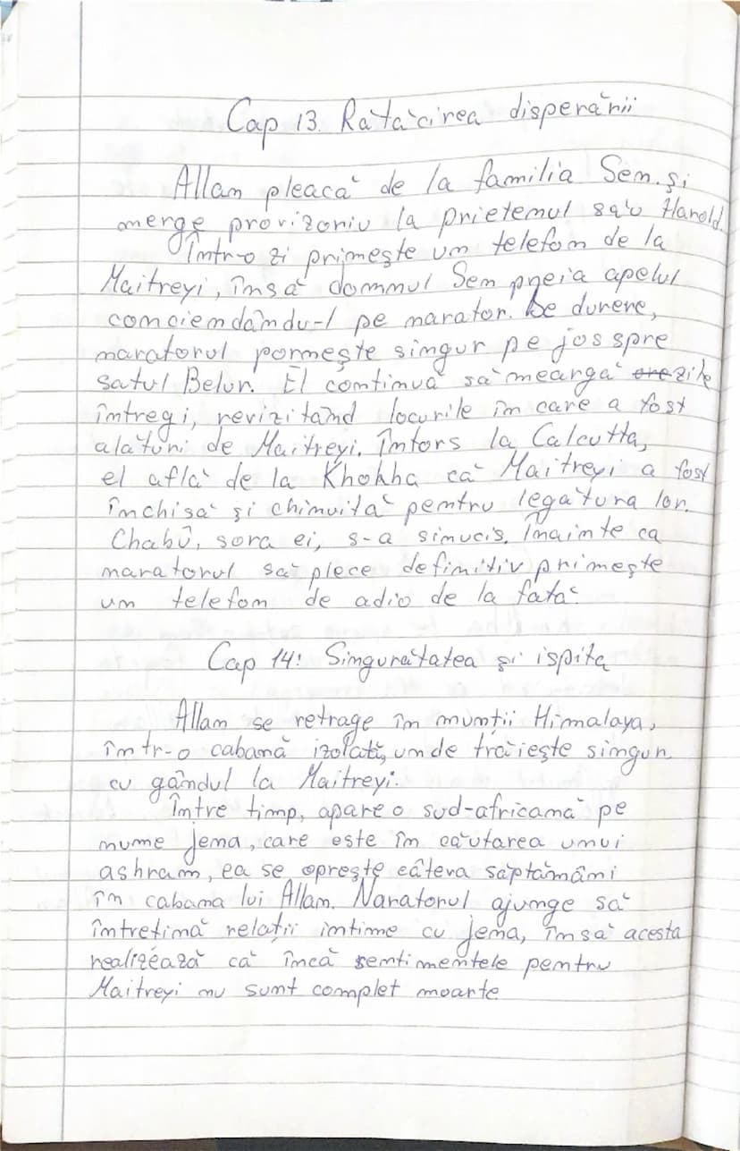 --- OCR Start ---
Allam
se
Maitreyi
Mircea Eliade
- rezumat pe capitole-
22.01.202.
Cap. 1. Întâlnirea cu Maitreyi
O
pare
fata i
El Ti
despr