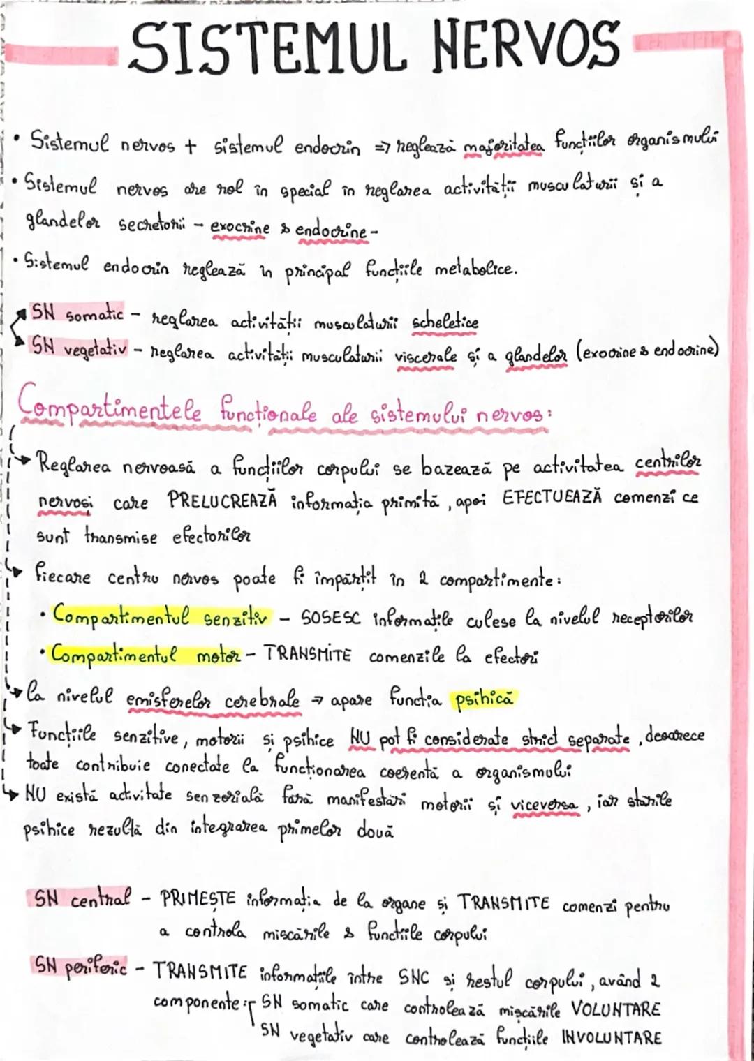 --- OCR Start ---
1
SISTEMUL NERVOS
•Sistemul nervos + sistemul endocrin => reglează majoritatea funcțiilor organismului
musculaturii si a
S