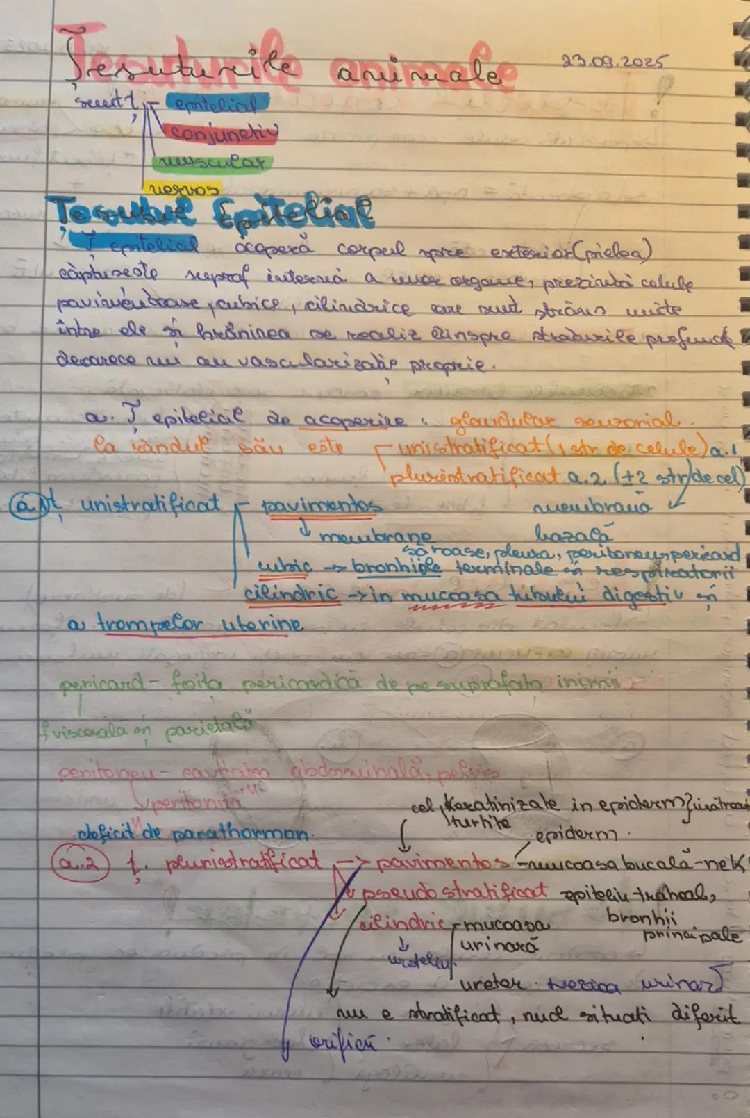 Tesuturile animale( intreg)