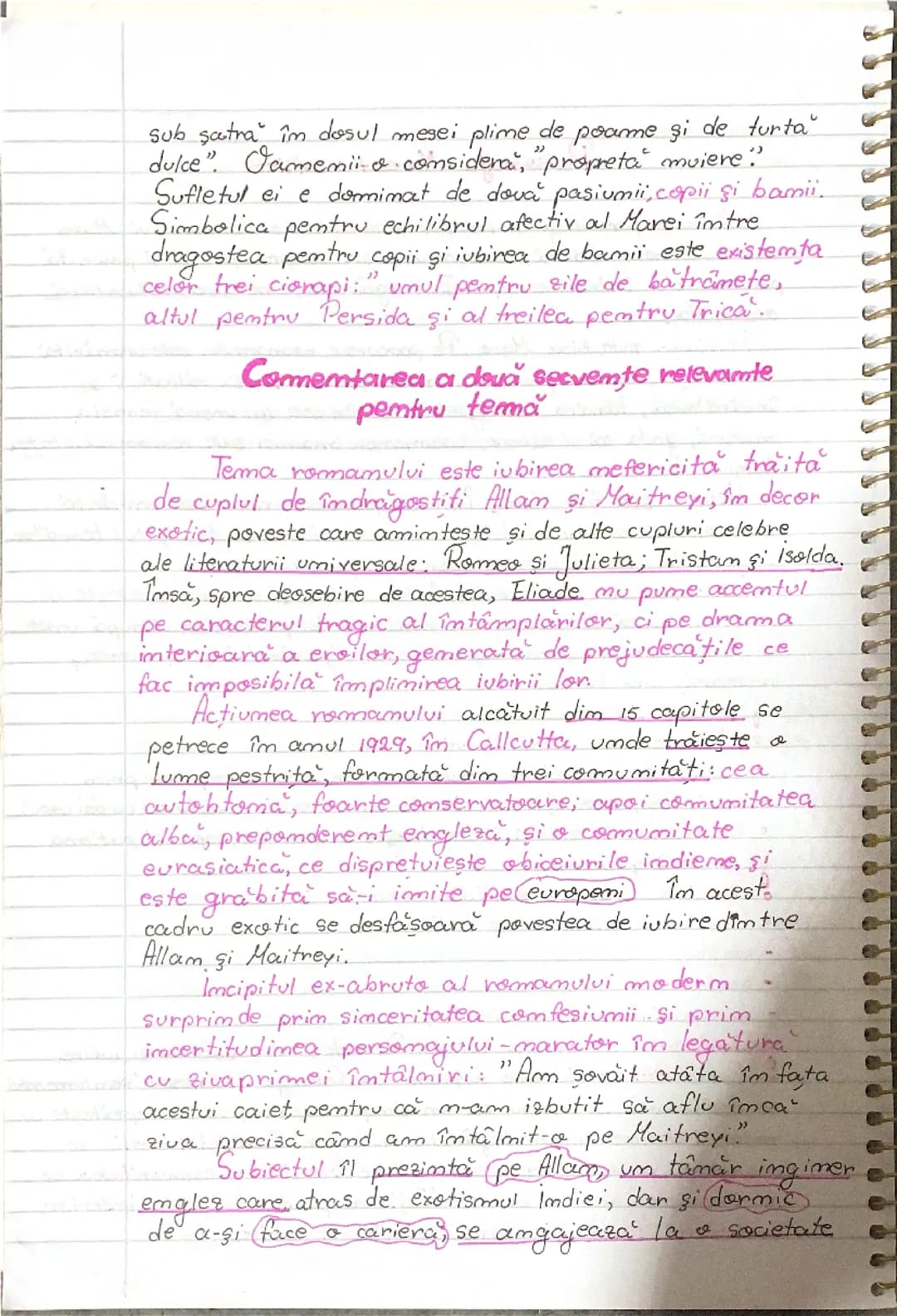Maitreyi aproape tot ce poate fii comentat despre opera 