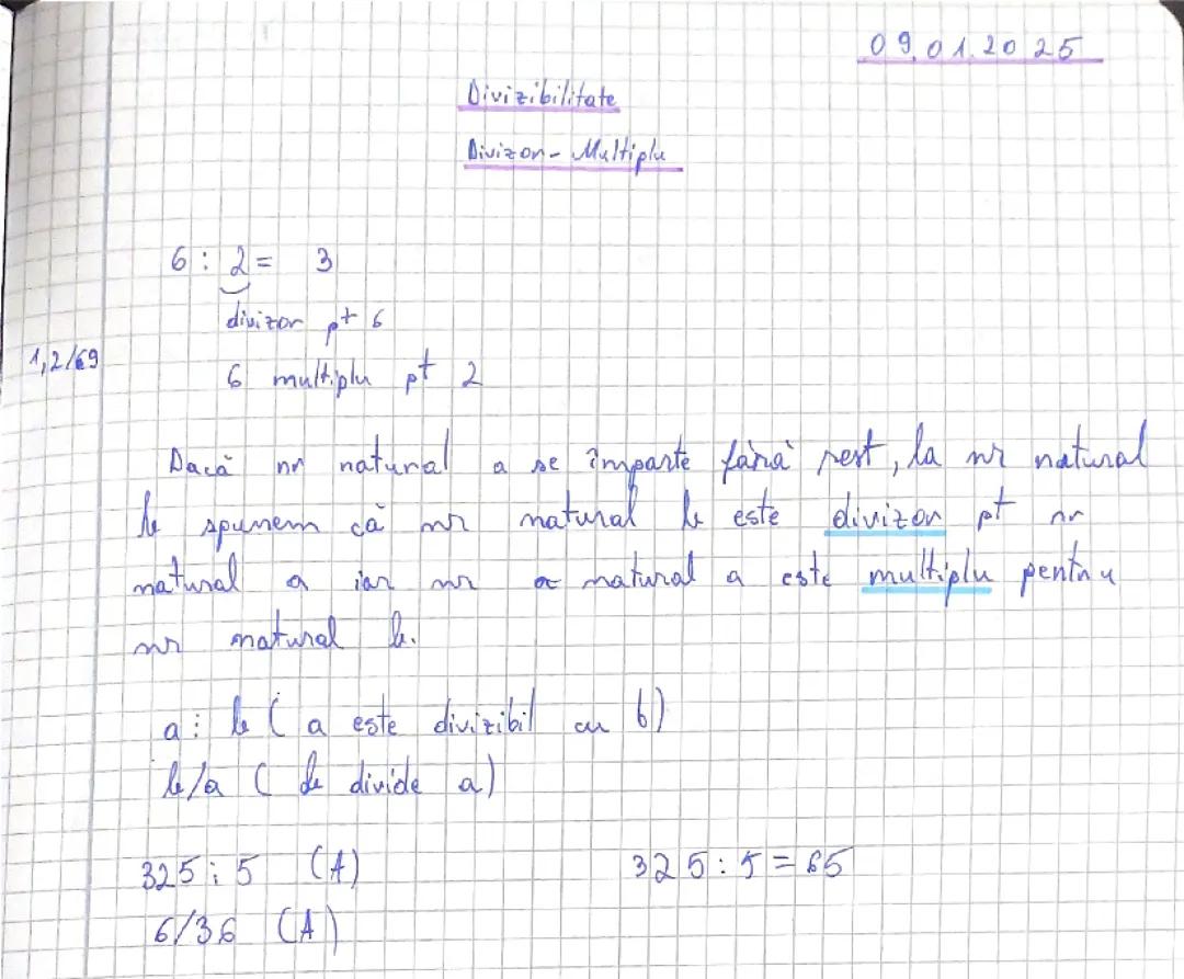 Divizibilitate. Divizor-multiplu