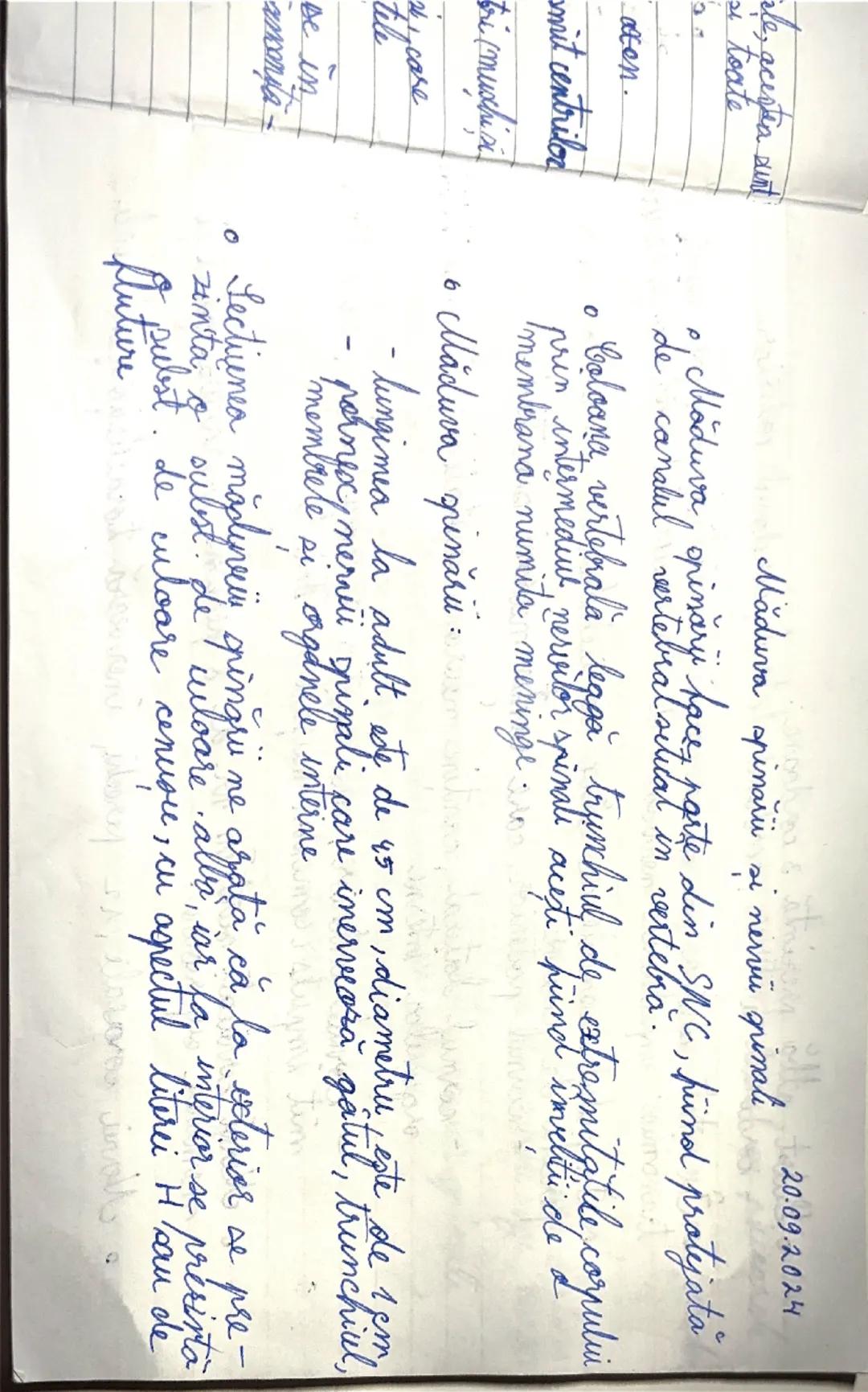 17.09.2024
Organizarea sistemului nervos la om
- domeniul de studiu al structurii si al functiilor sistemului nervos, care este format din:
