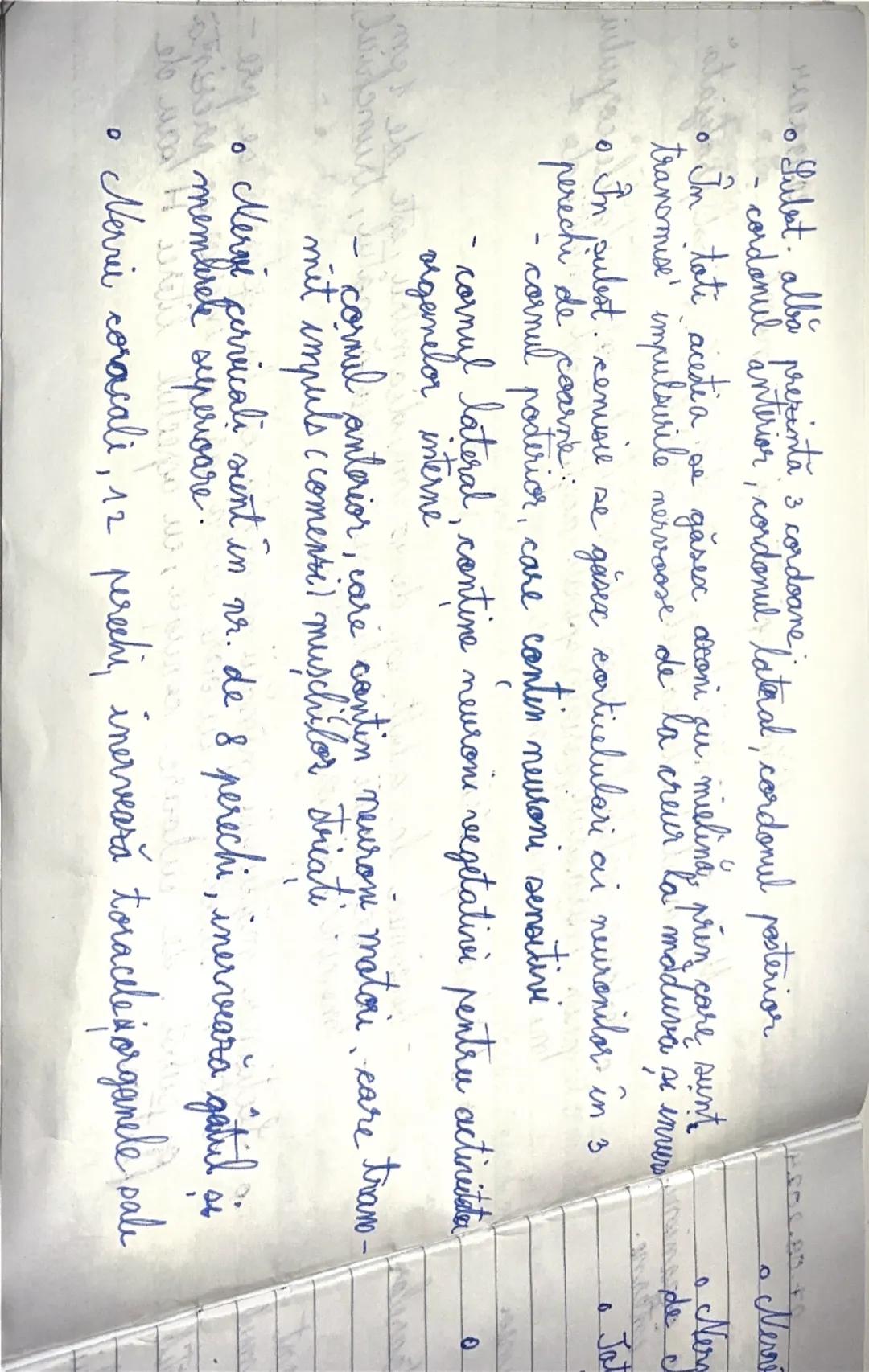 17.09.2024
Organizarea sistemului nervos la om
- domeniul de studiu al structurii si al functiilor sistemului nervos, care este format din:
