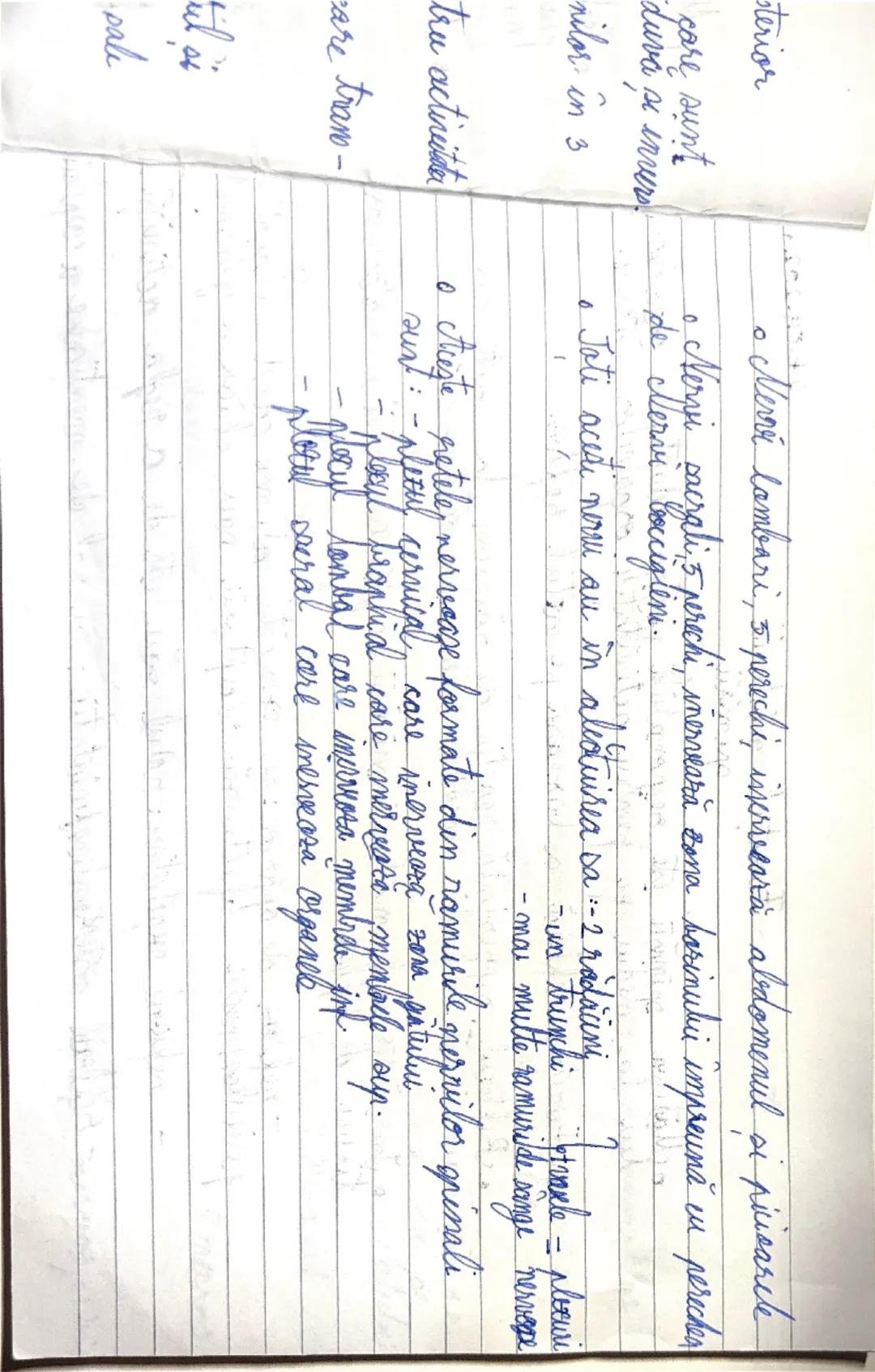 17.09.2024
Organizarea sistemului nervos la om
- domeniul de studiu al structurii si al functiilor sistemului nervos, care este format din:
