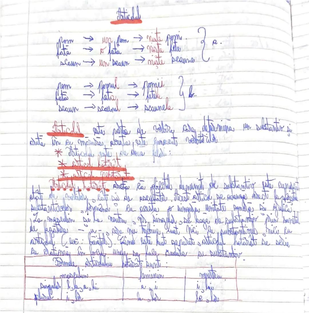 # Atticdel

Nom
→ un Lom → miste pozi
lata
→lata → viste fete
scaun → un sealun → niste peame

rom → Nomul → pomii
late → fata → fetele
Scau
