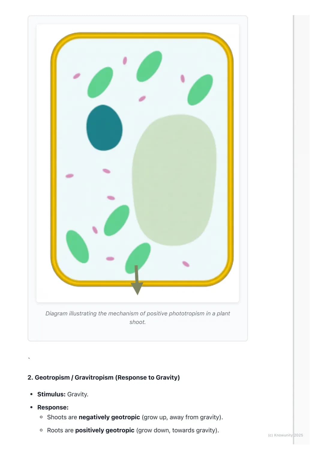 # Plant Growth and Responses

Introduction to plant growth and responses

Plants need to respond to their environment to survive, just like 