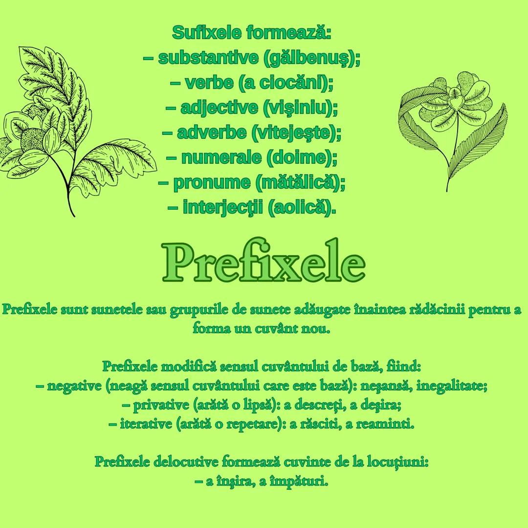 ## Derivarea si compunerea

Evaluare Națională 2024 # Derivarea

Derivarea este mijlocul intern de îmbogățire a vocabularului prin care se f