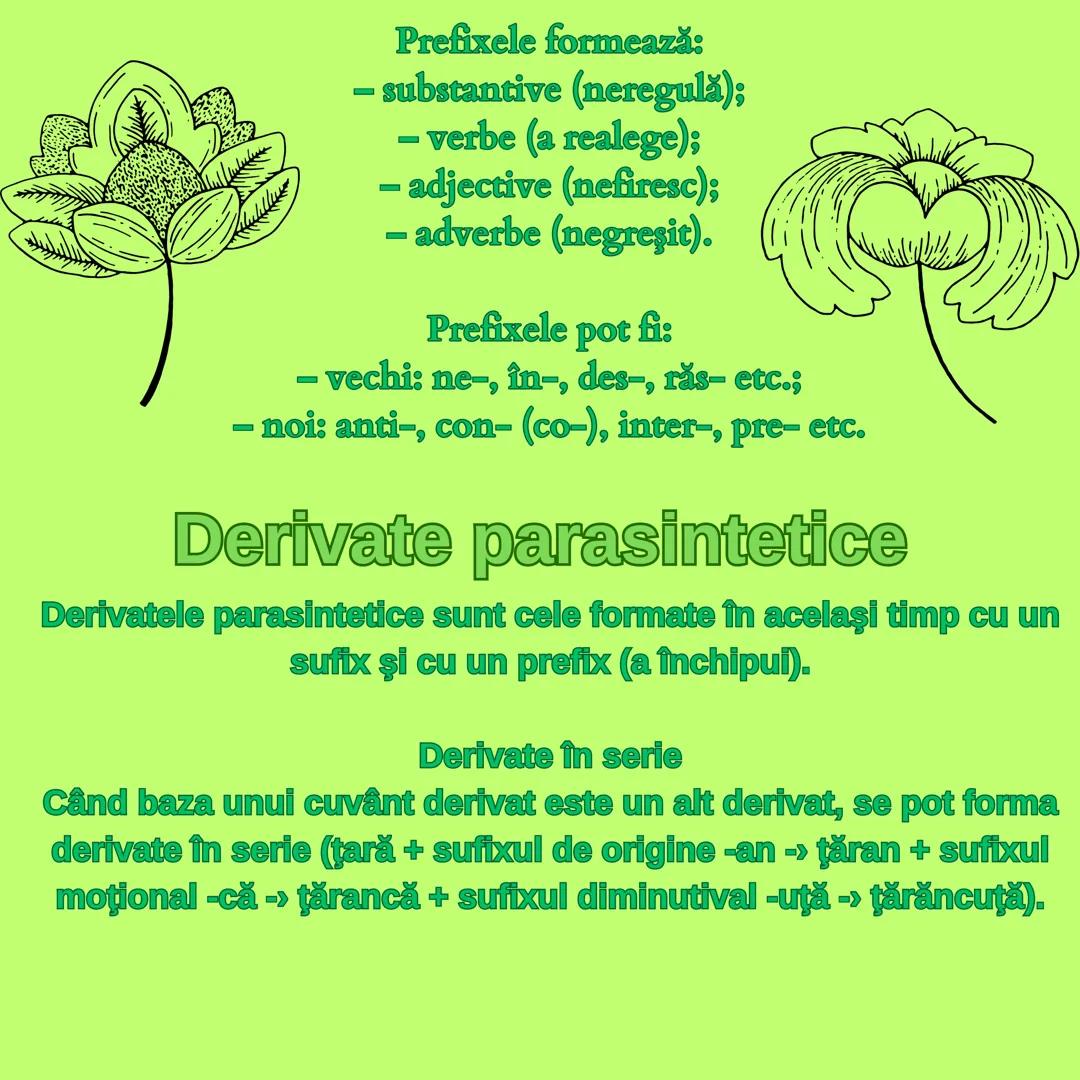 ## Derivarea si compunerea

Evaluare Națională 2024 # Derivarea

Derivarea este mijlocul intern de îmbogățire a vocabularului prin care se f