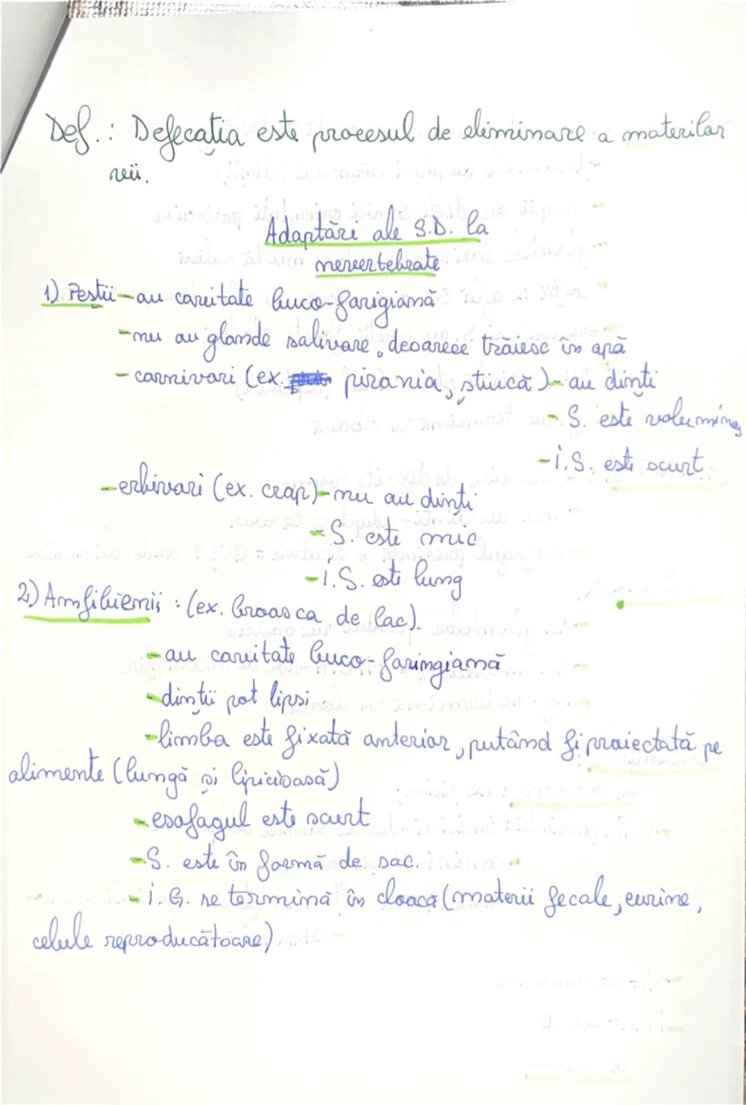 Sistemul digestive
la am
Sistemul digestire totalitatea organelar în care are lac transfar-
marea alimentelar în substante simple.
Aparatul 