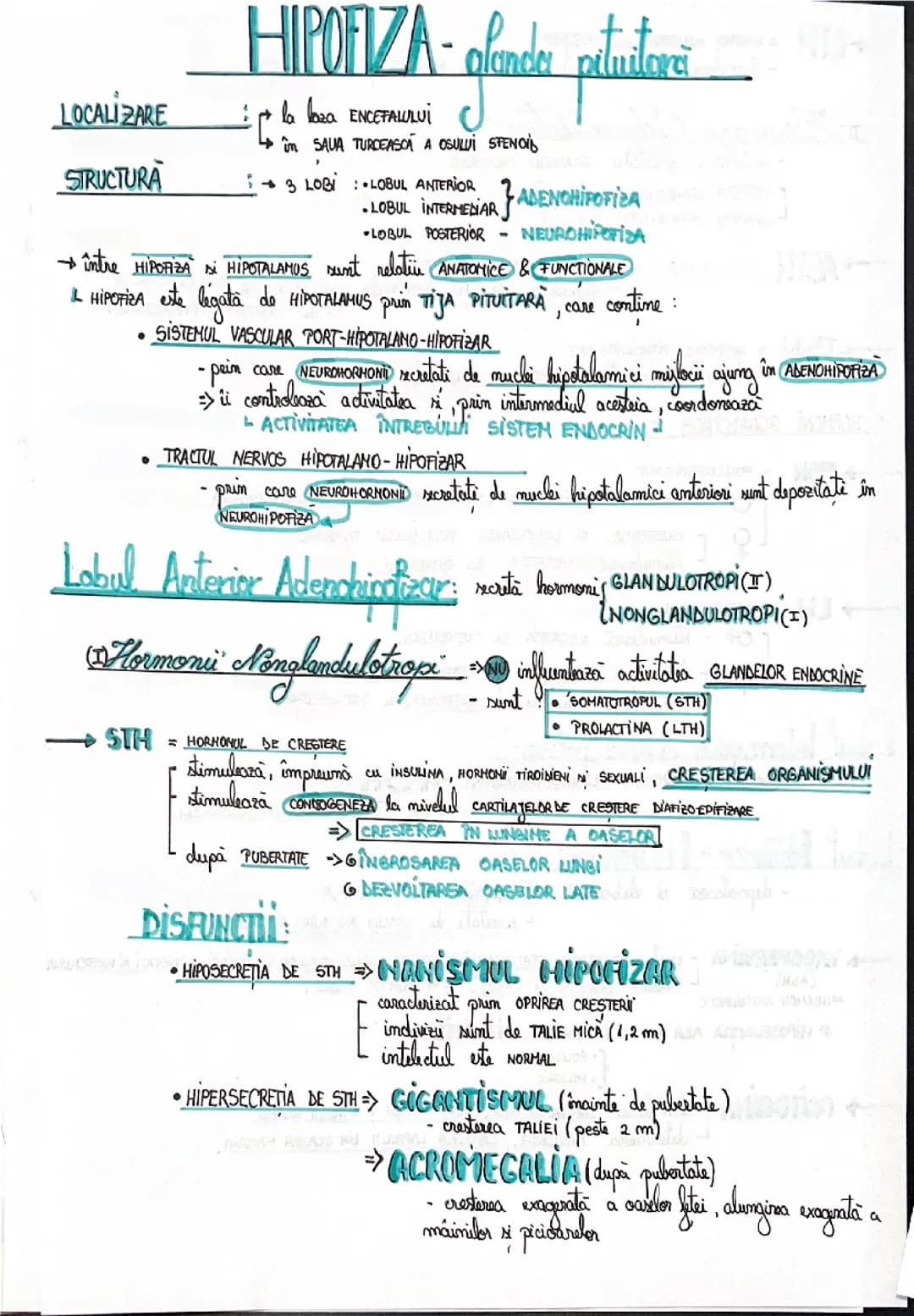 GLANDE ENDOCRINE