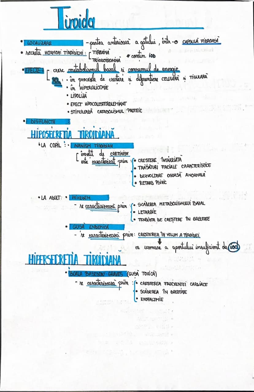 --- OCR Start ---
HIPORIZA - glanda patuitame
LOCALIZARE
la baza ENCEFALULUI
în SAVA TURCEASON A OSULUI STENOID
STRUCTURA
3 LOBI : LOBUL ANT