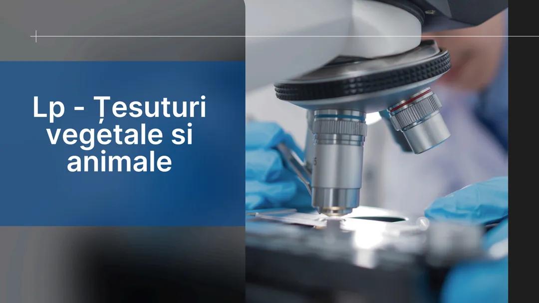 Lp - Țesuturi vegetale si animale
