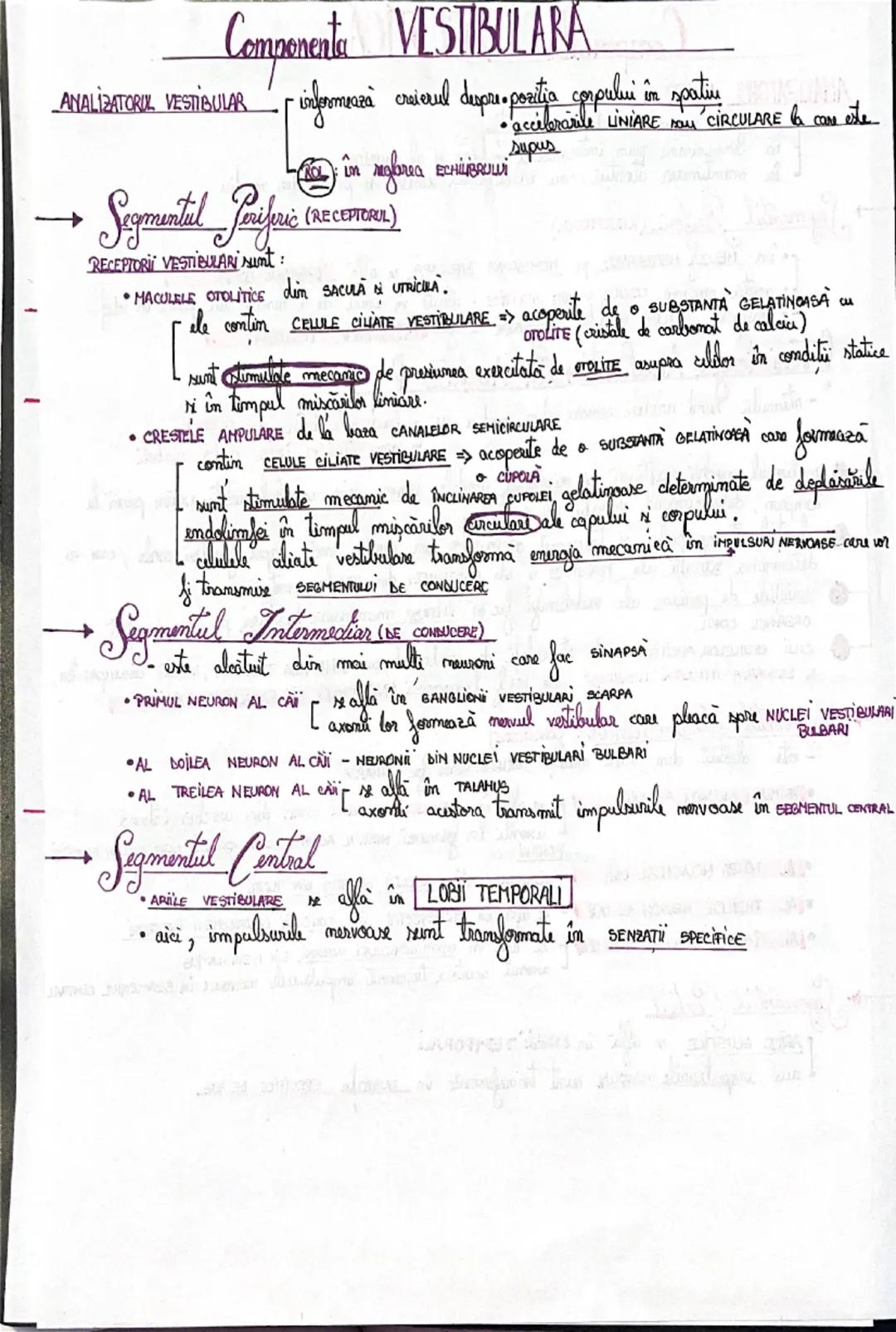 # Analizatorii

= SISTEME MOFOFUNCTIONALE prin intermediul cărora, la nivel cortical, sx realizează:
ANALIZA CALITATIVA SI CANTITATIVA A STI