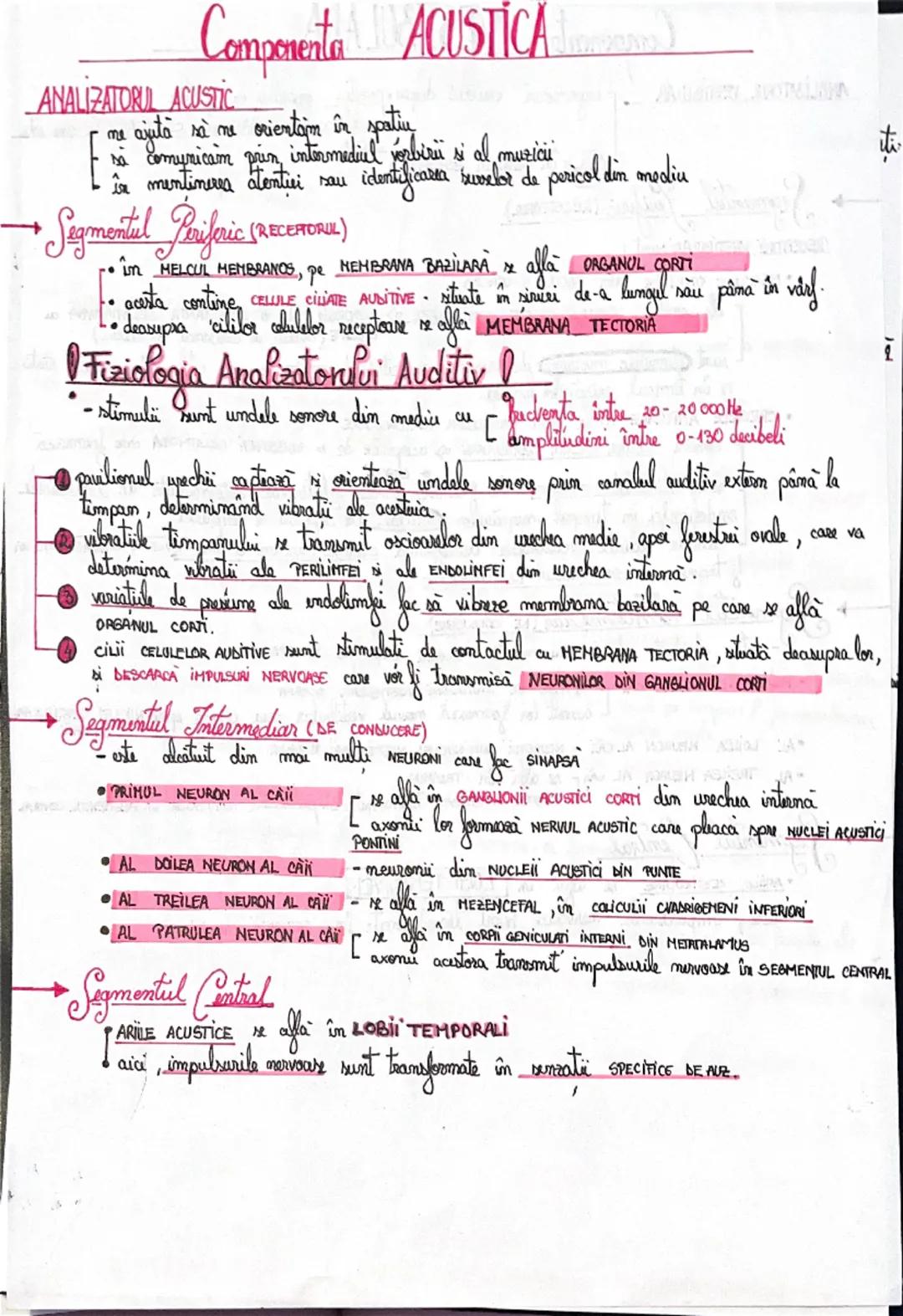 # Analizatorii

= SISTEME MOFOFUNCTIONALE prin intermediul cărora, la nivel cortical, sx realizează:
ANALIZA CALITATIVA SI CANTITATIVA A STI
