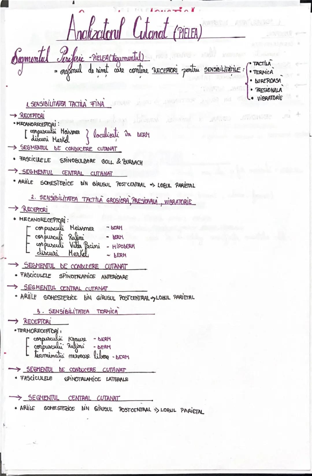 # Analizatorii

= SISTEME MOFOFUNCTIONALE prin intermediul cărora, la nivel cortical, sx realizează:
ANALIZA CALITATIVA SI CANTITATIVA A STI