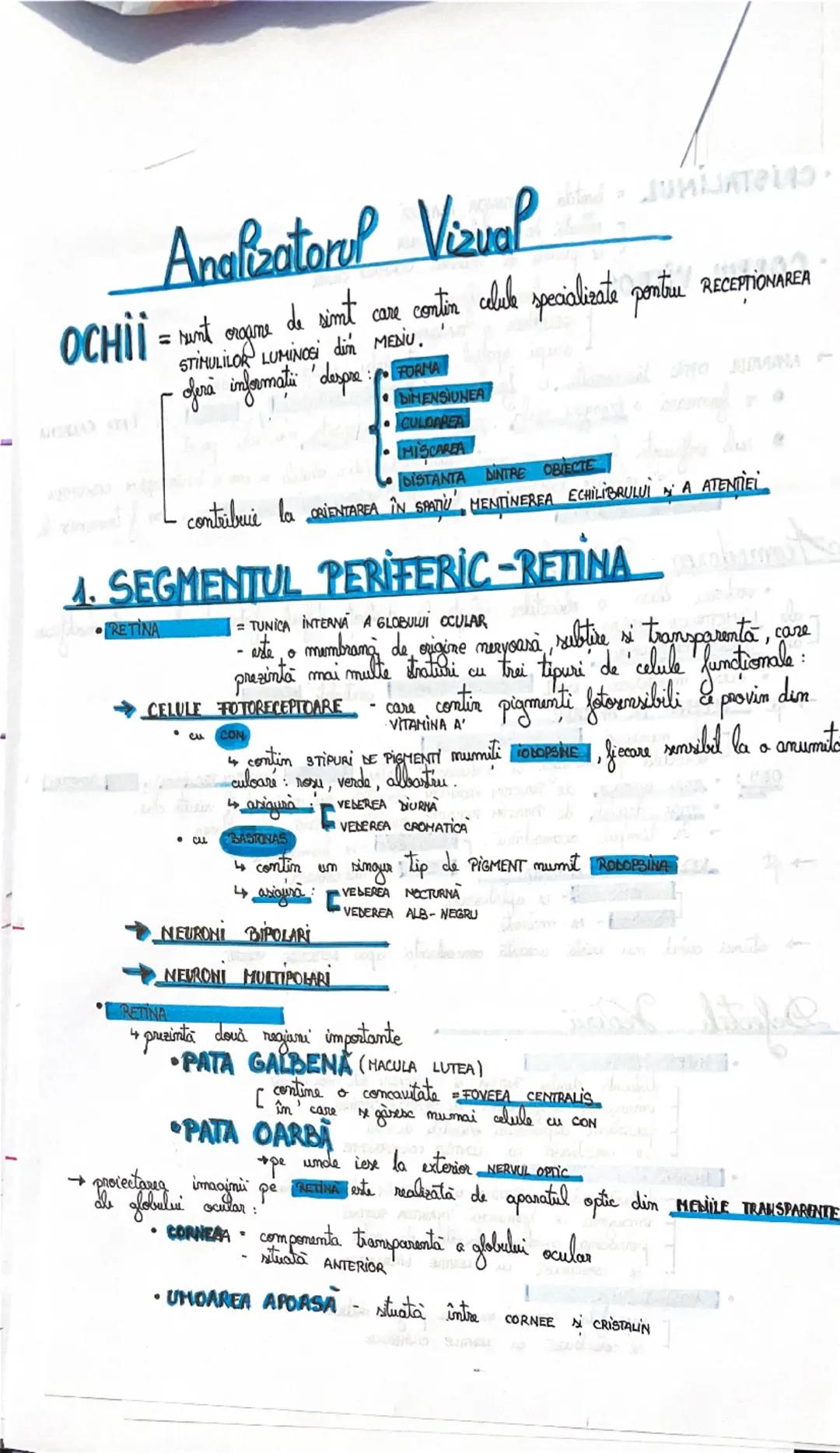 # Analizatorii

= SISTEME MOFOFUNCTIONALE prin intermediul cărora, la nivel cortical, sx realizează:
ANALIZA CALITATIVA SI CANTITATIVA A STI