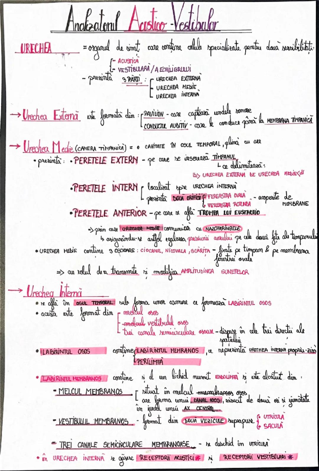 # Analizatorii

= SISTEME MOFOFUNCTIONALE prin intermediul cărora, la nivel cortical, sx realizează:
ANALIZA CALITATIVA SI CANTITATIVA A STI