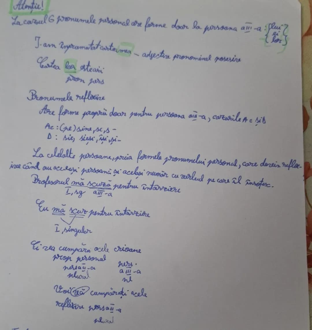 --- OCR Start ---
Pronumele
2. Pronumele este parte de vorbire care tine locul unui substantiv
Beta Pronume
Cart au categoria persoanei
- pr