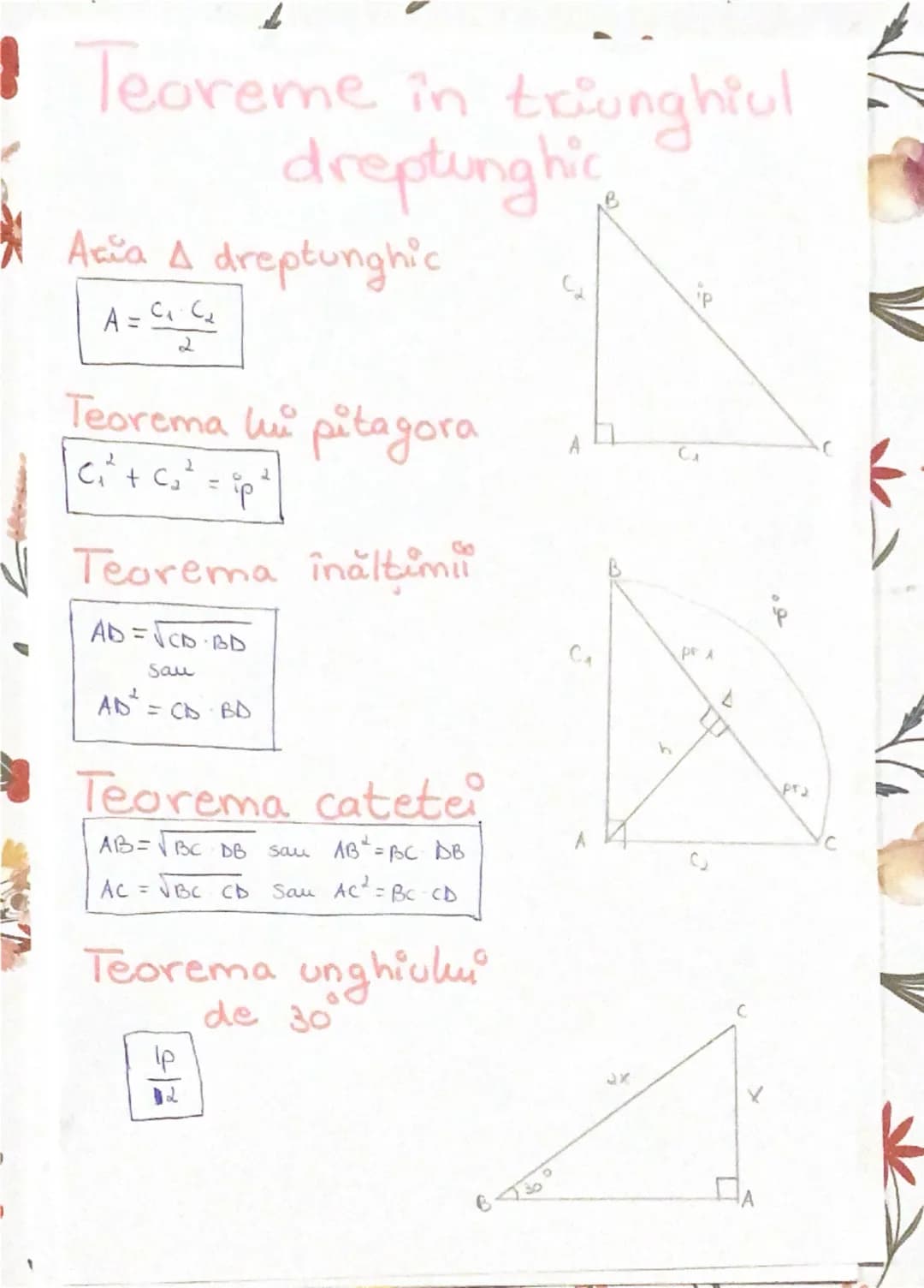 teoreme&functii trigonometrice