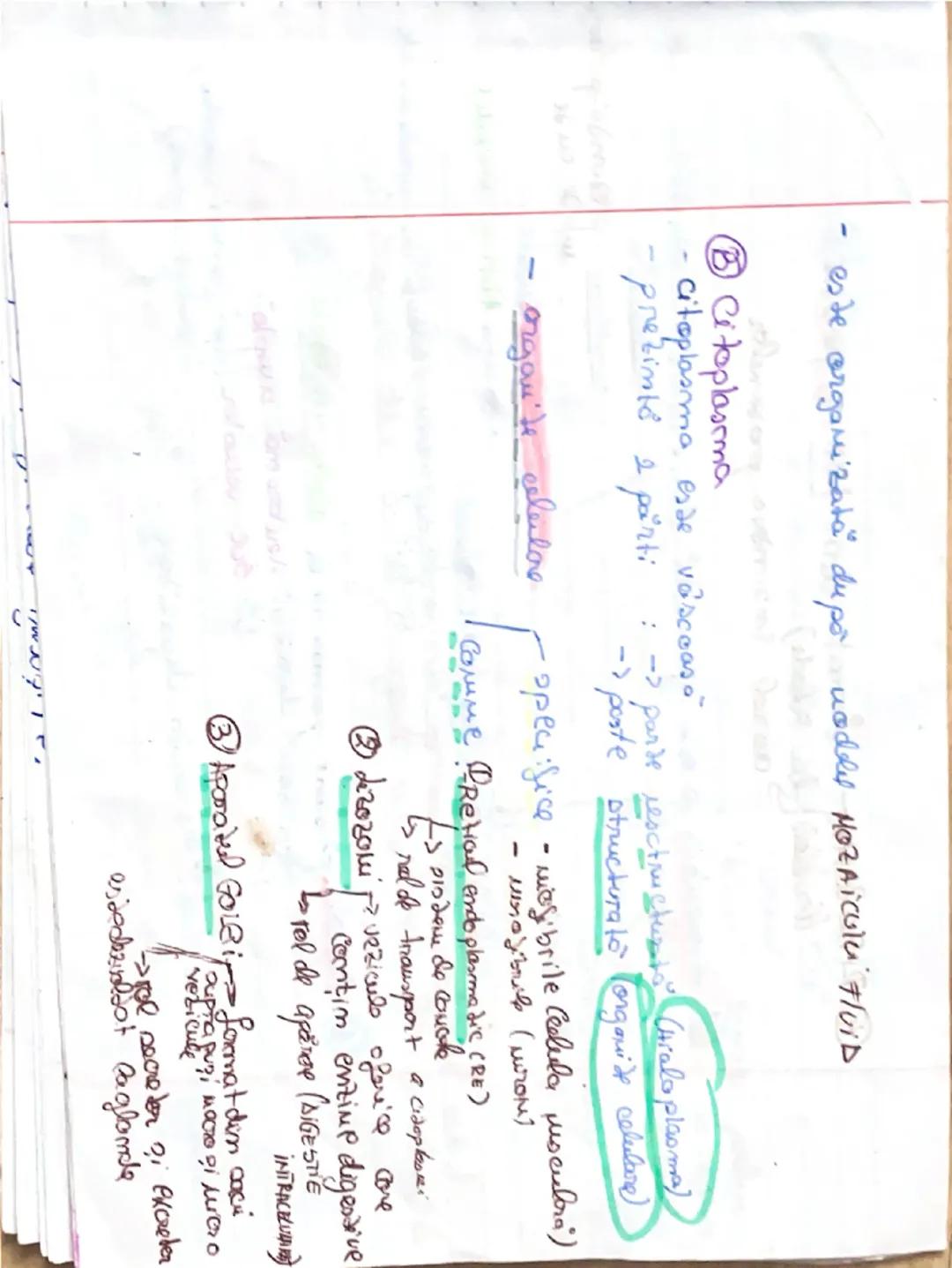 23.09.2021
Celula procariata x
Des: Reprezintă uritatea de bază structurare ?, functionali
a organiereler
Hucleul
Lu esde bime
conturat
se î