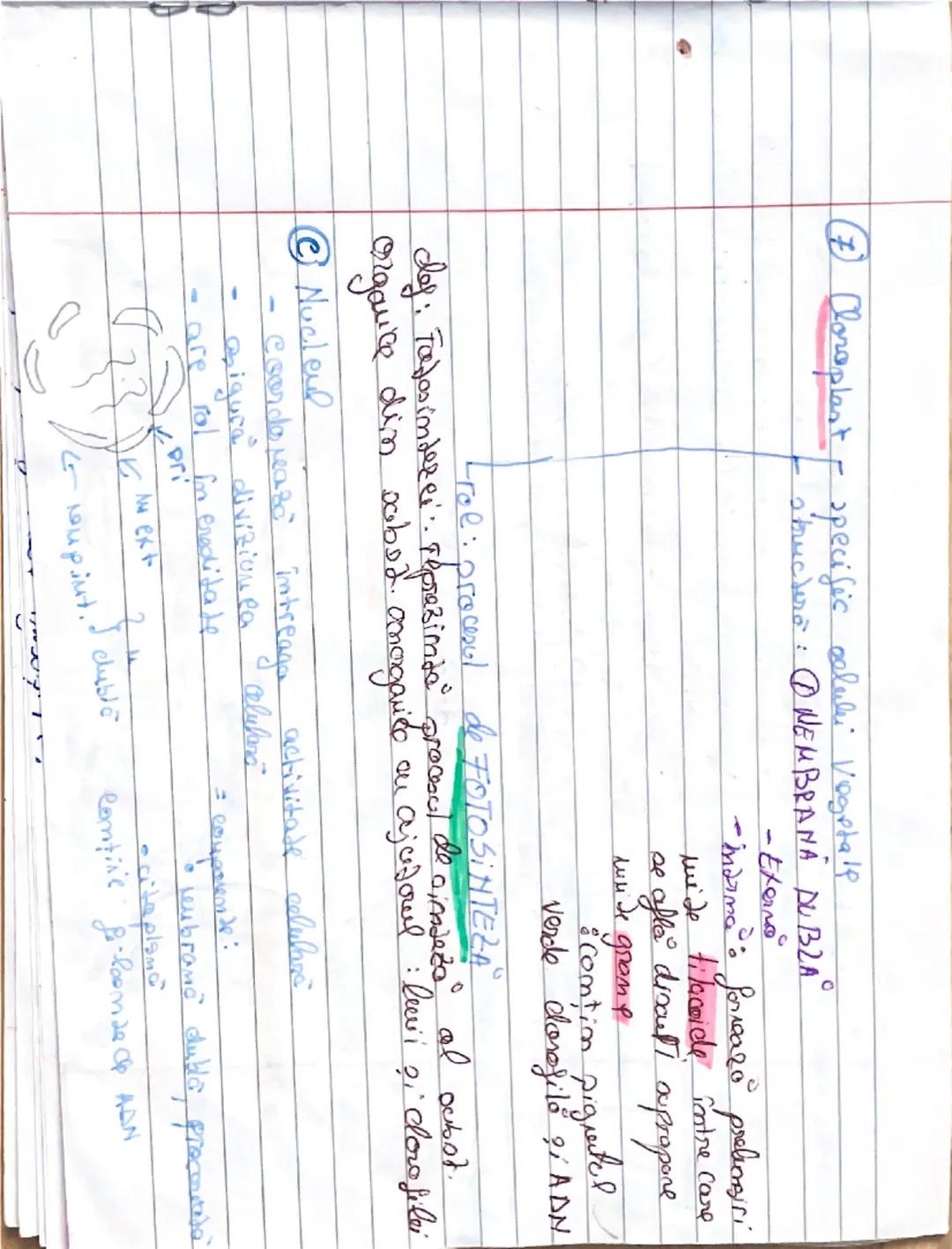 23.09.2021
Celula procariata x
Des: Reprezintă uritatea de bază structurare ?, functionali
a organiereler
Hucleul
Lu esde bime
conturat
se î