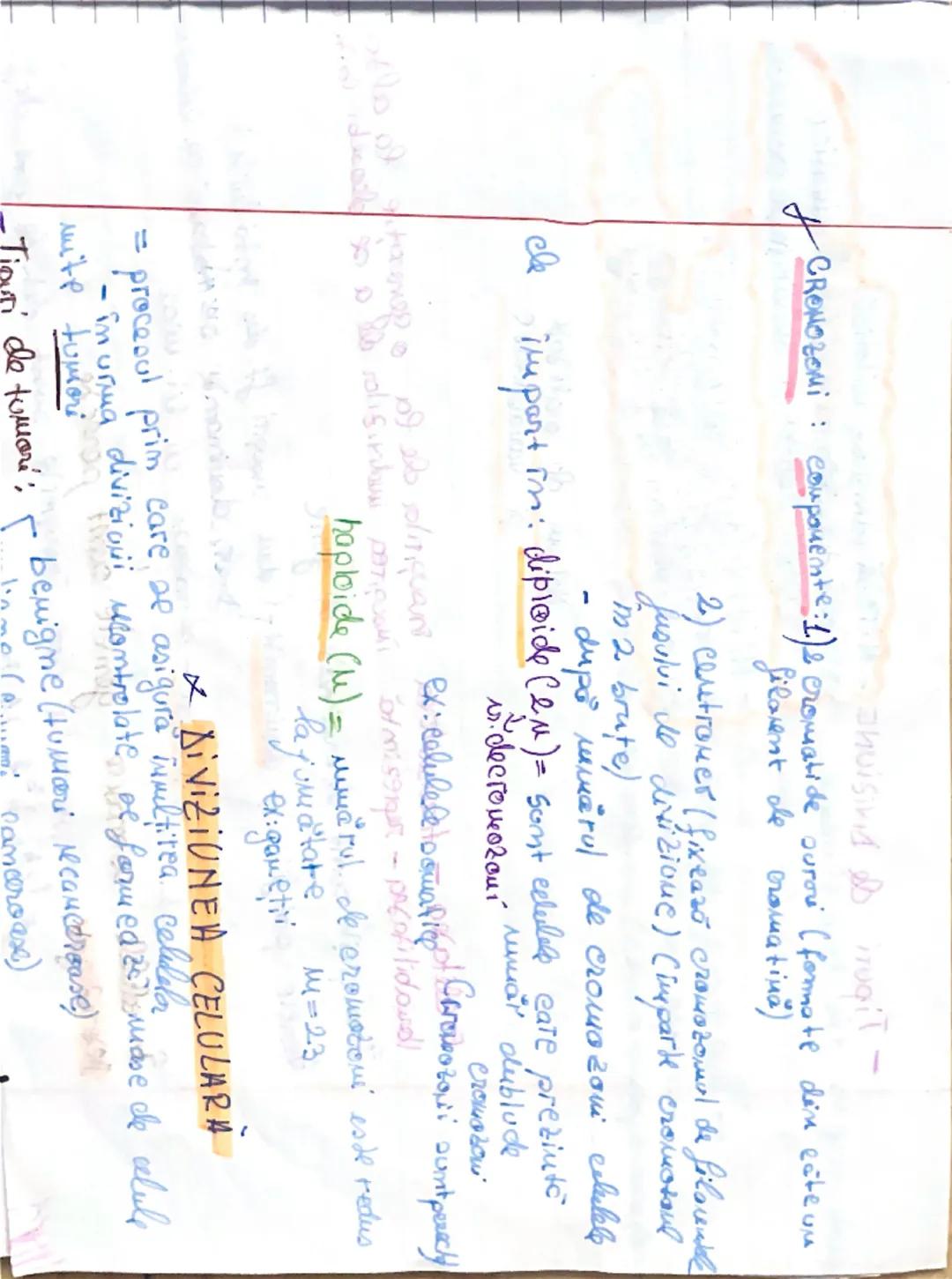 23.09.2021
Celula procariata x
Des: Reprezintă uritatea de bază structurare ?, functionali
a organiereler
Hucleul
Lu esde bime
conturat
se î