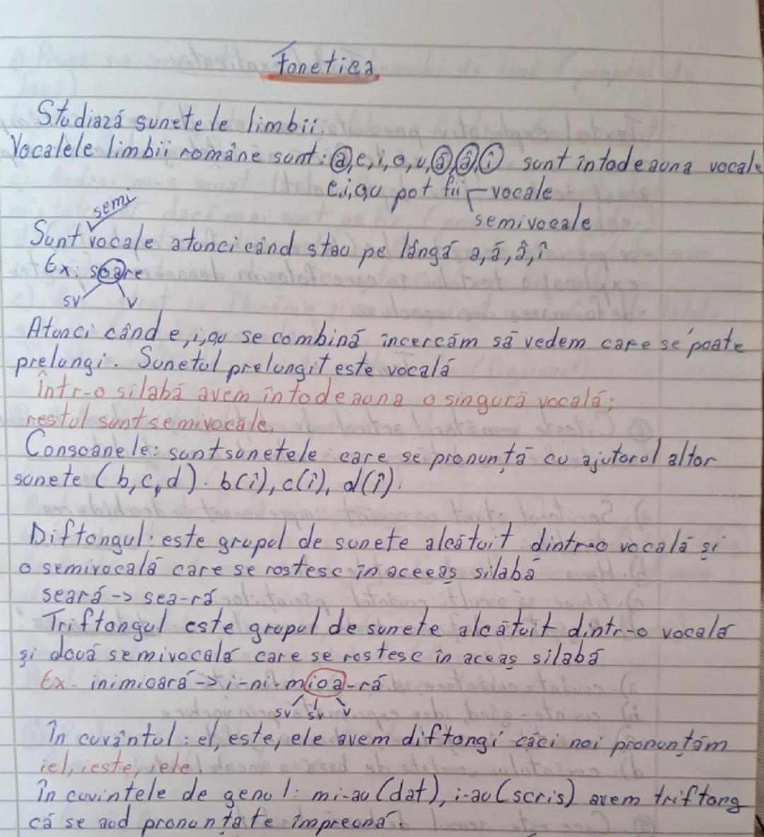 --- OCR Start ---
Fonetica
Studiază sunetele limbii.
Vocalele limbii române sunt : @, e, i, o, u, @@@ sunt intodeauna vocale
semi
Ciiqu pot 