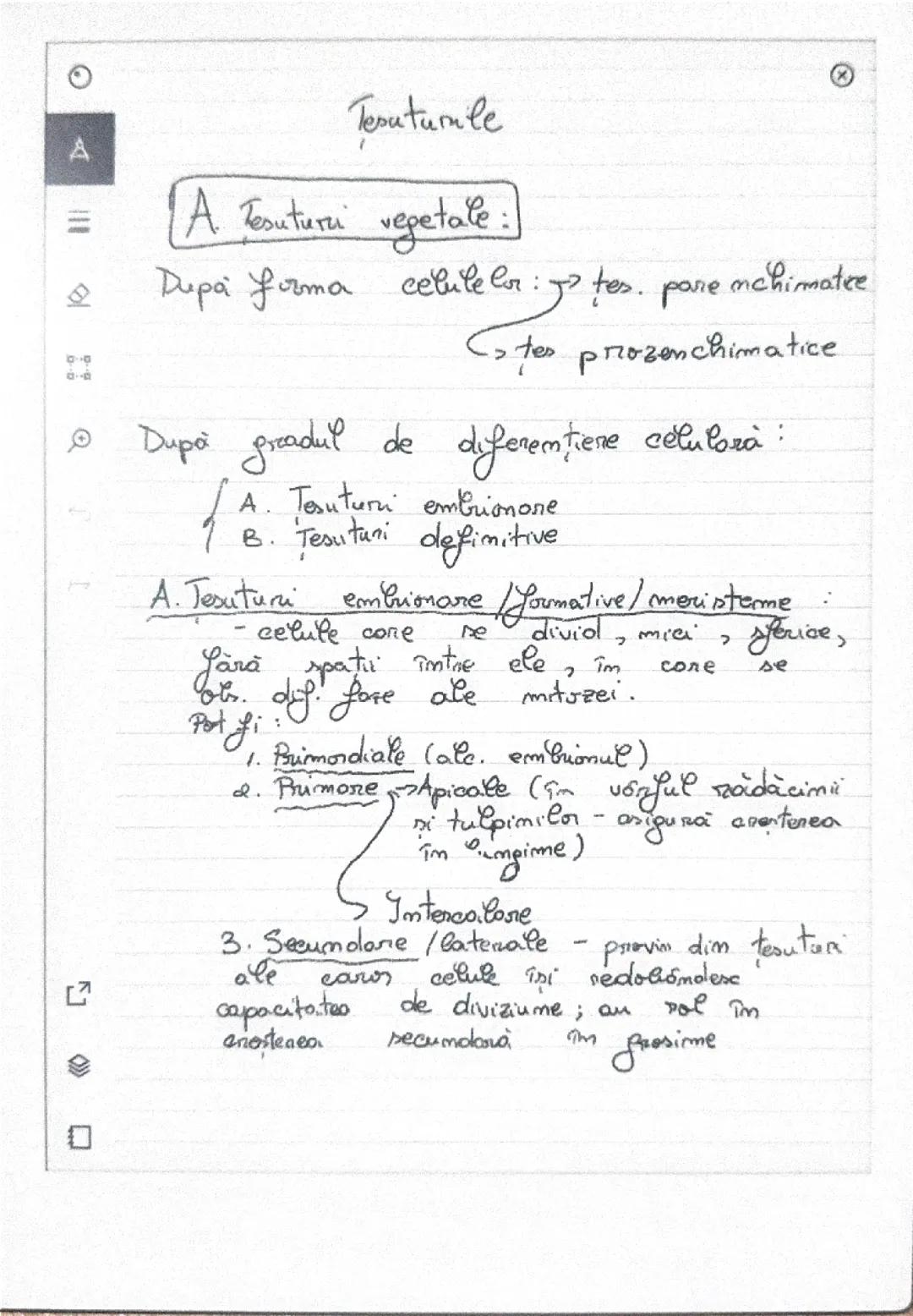 Țesuturile vegetale și animale