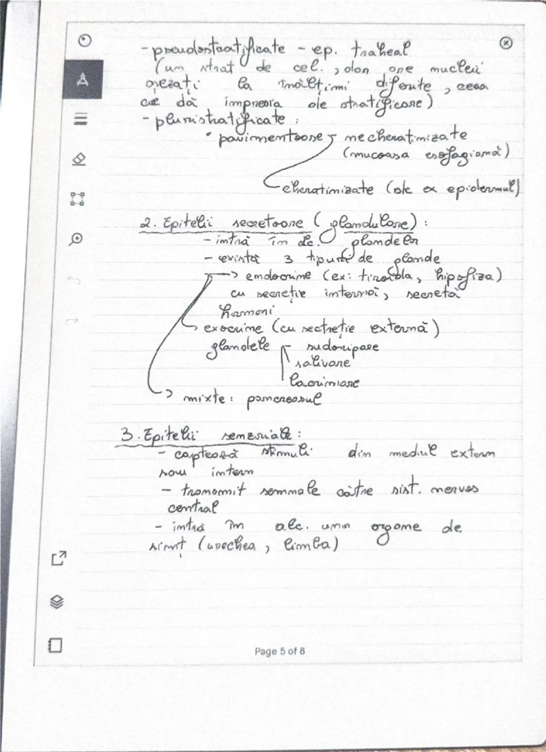 --- OCR Start ---
A
쇼
Tesutumle
A. Kesuturi vegetale:
Dupa furma celulelor: J tes. pare mchimatre
> tes prozenchimatice
Dupa greadul de dife