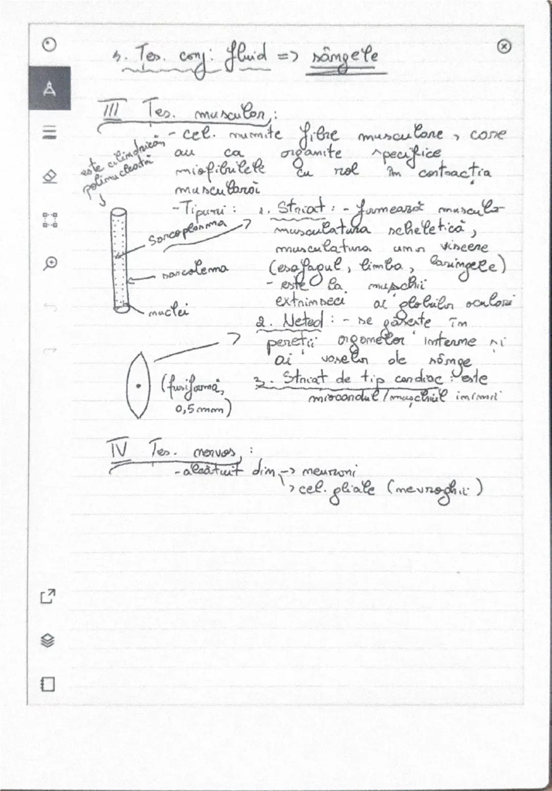 --- OCR Start ---
A
쇼
Tesutumle
A. Kesuturi vegetale:
Dupa furma celulelor: J tes. pare mchimatre
> tes prozenchimatice
Dupa greadul de dife