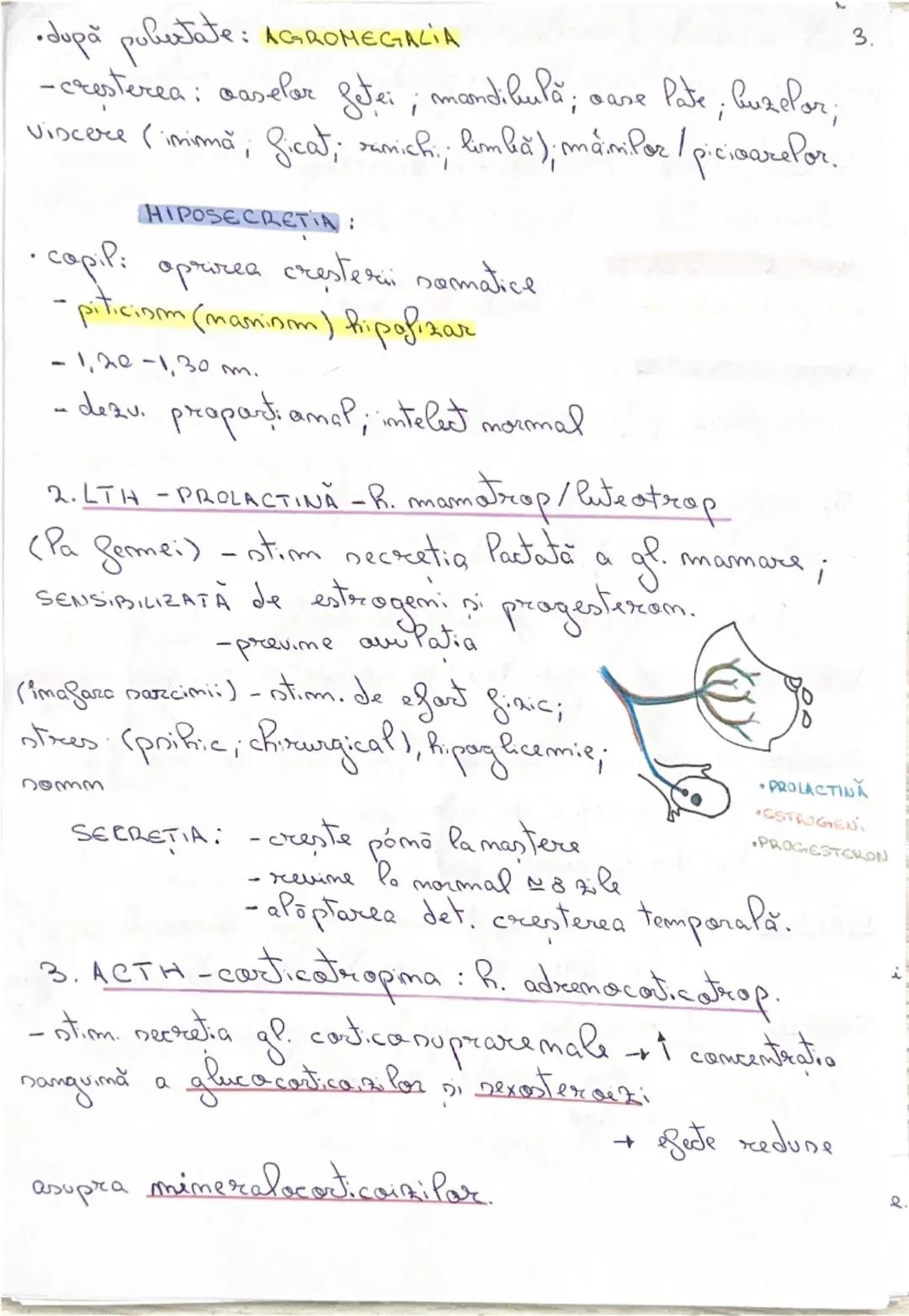 # GLANDE ENDOCRINE

-epiteli secretarii: cel care prad sulest, active

(HORMOND-eliberati în sânge

•nubest chimice speafice

• act. Pa dist